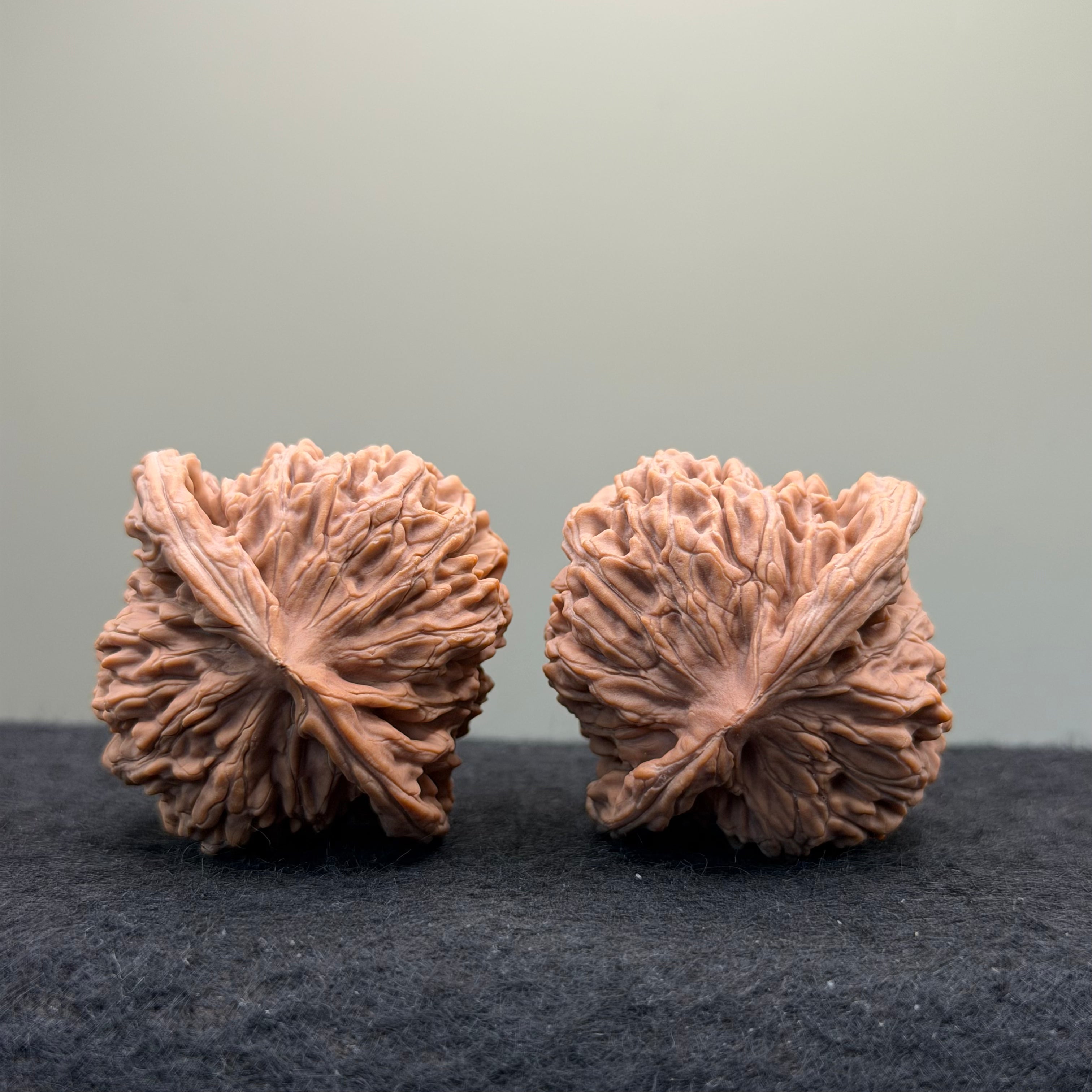 Four Towers Wenwan Walnut · 44mm · Natural · Entry Ritual