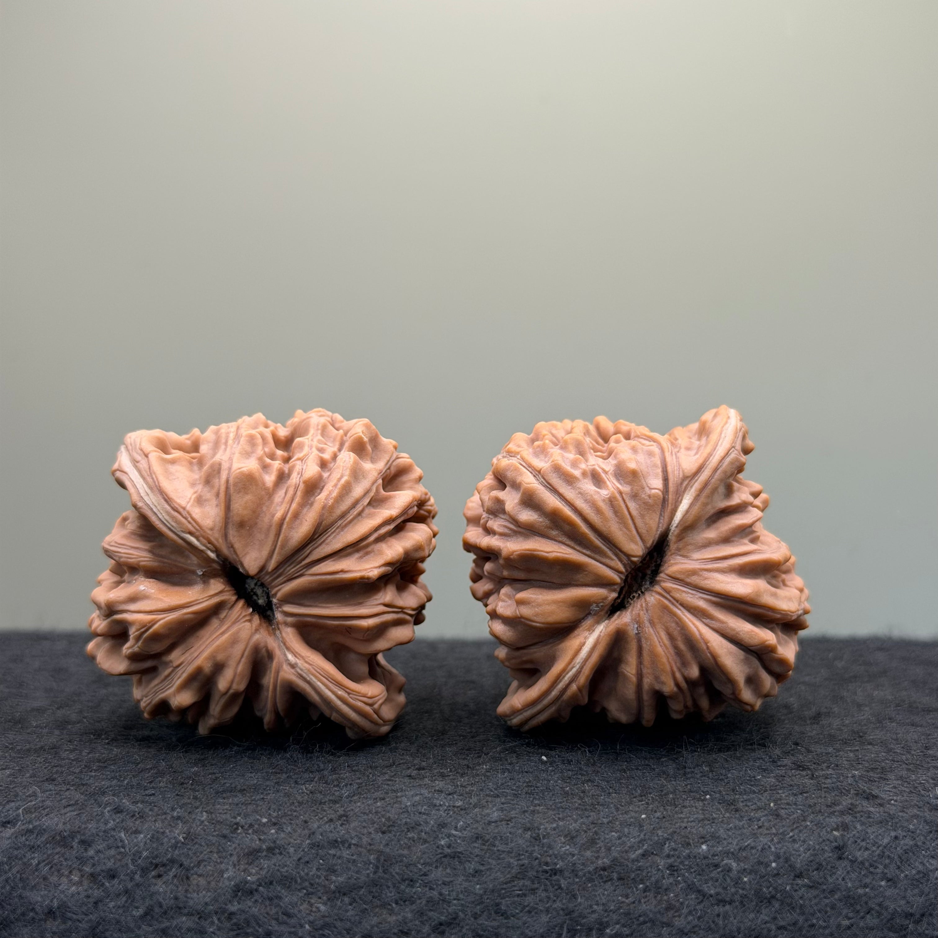 Four Towers Wenwan Walnut · 44mm · Natural · Entry Ritual