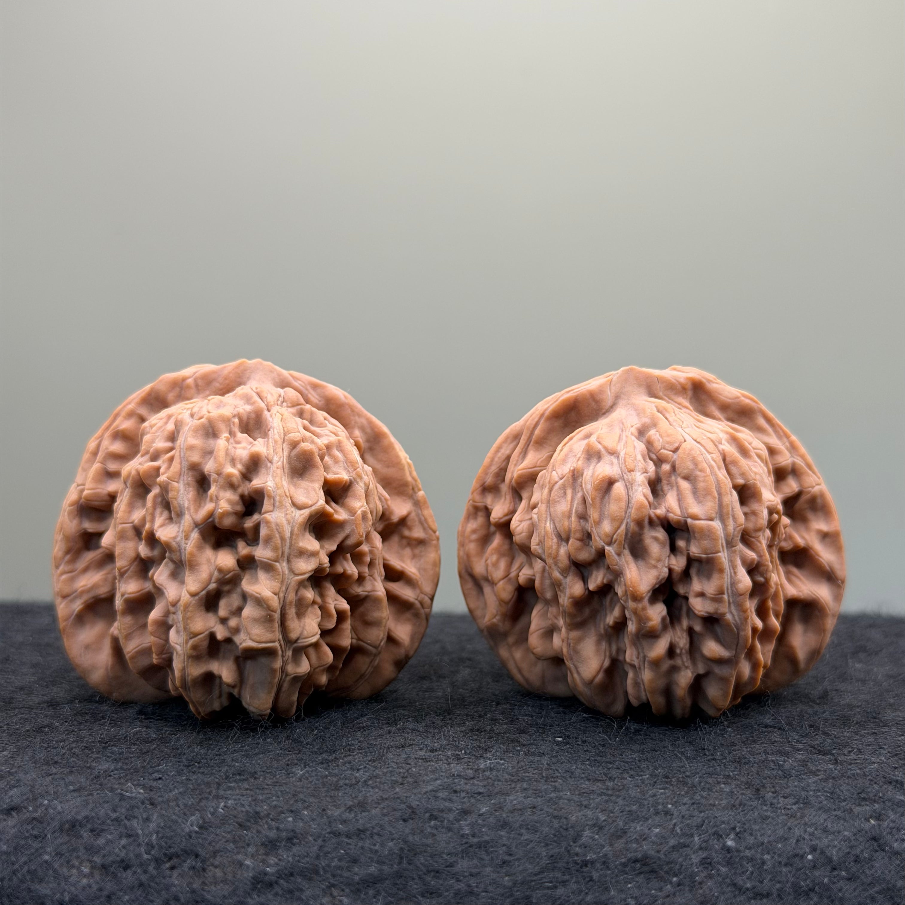 Four Towers Wenwan Walnut · 43 · Natural · Entry Ritual