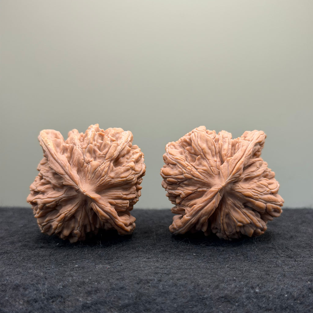 Four Towers Wenwan Walnut · 43 · Natural · Entry Ritual
