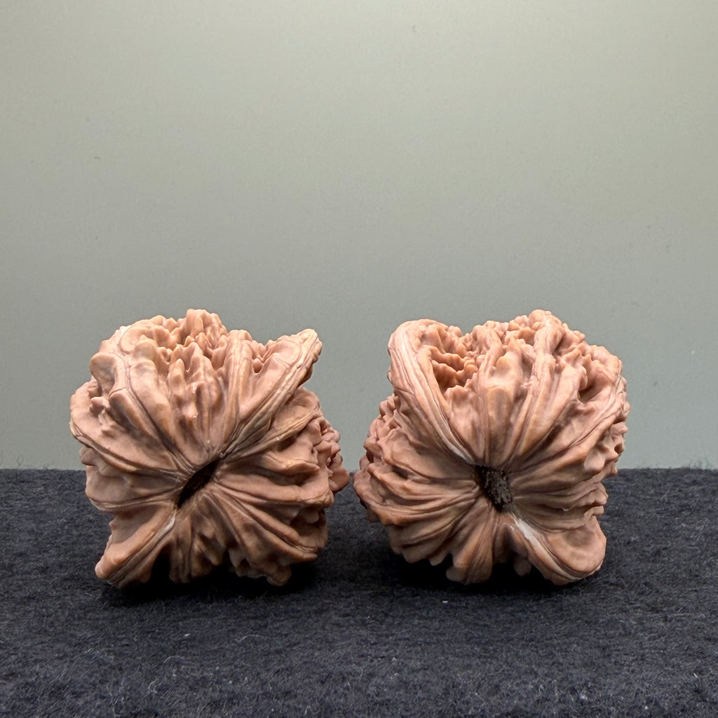 Four Towers Wenwan Walnut · 43 · Natural · Entry Ritual