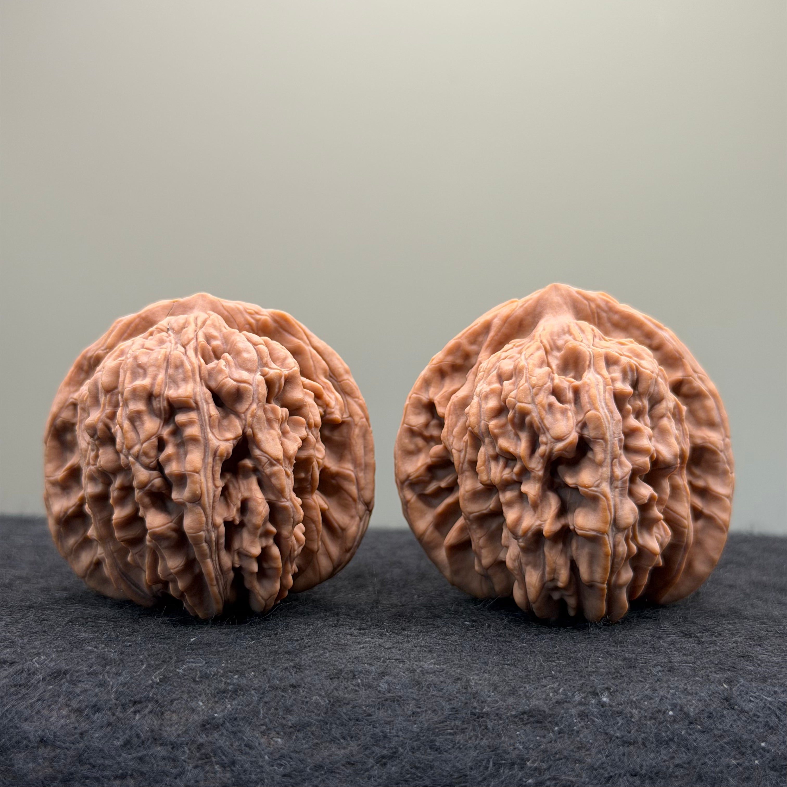 Four Towers Wenwan Walnut · 44 · Natural · Entry Ritual