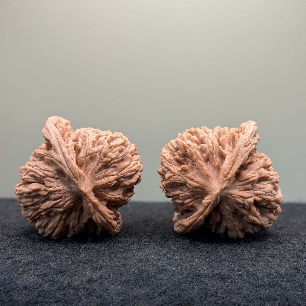Four Towers Wenwan Walnut · 44 · Natural · Entry Ritual