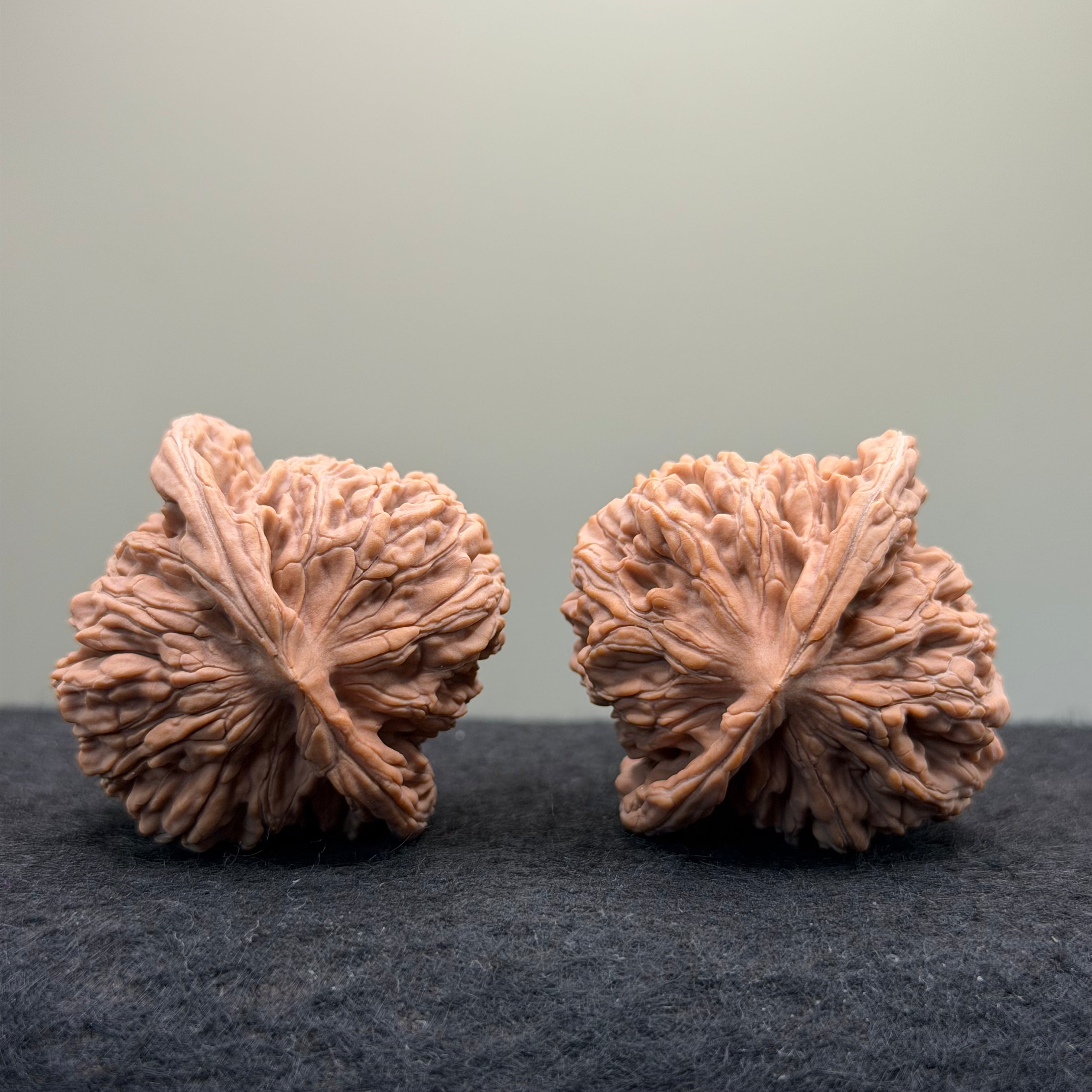 Four Towers Wenwan Walnut · 44 · Natural · Entry Ritual