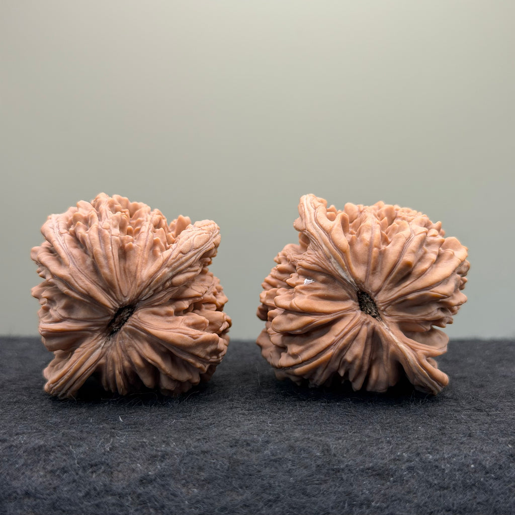 Four Towers Wenwan Walnut · 44 · Natural · Entry Ritual