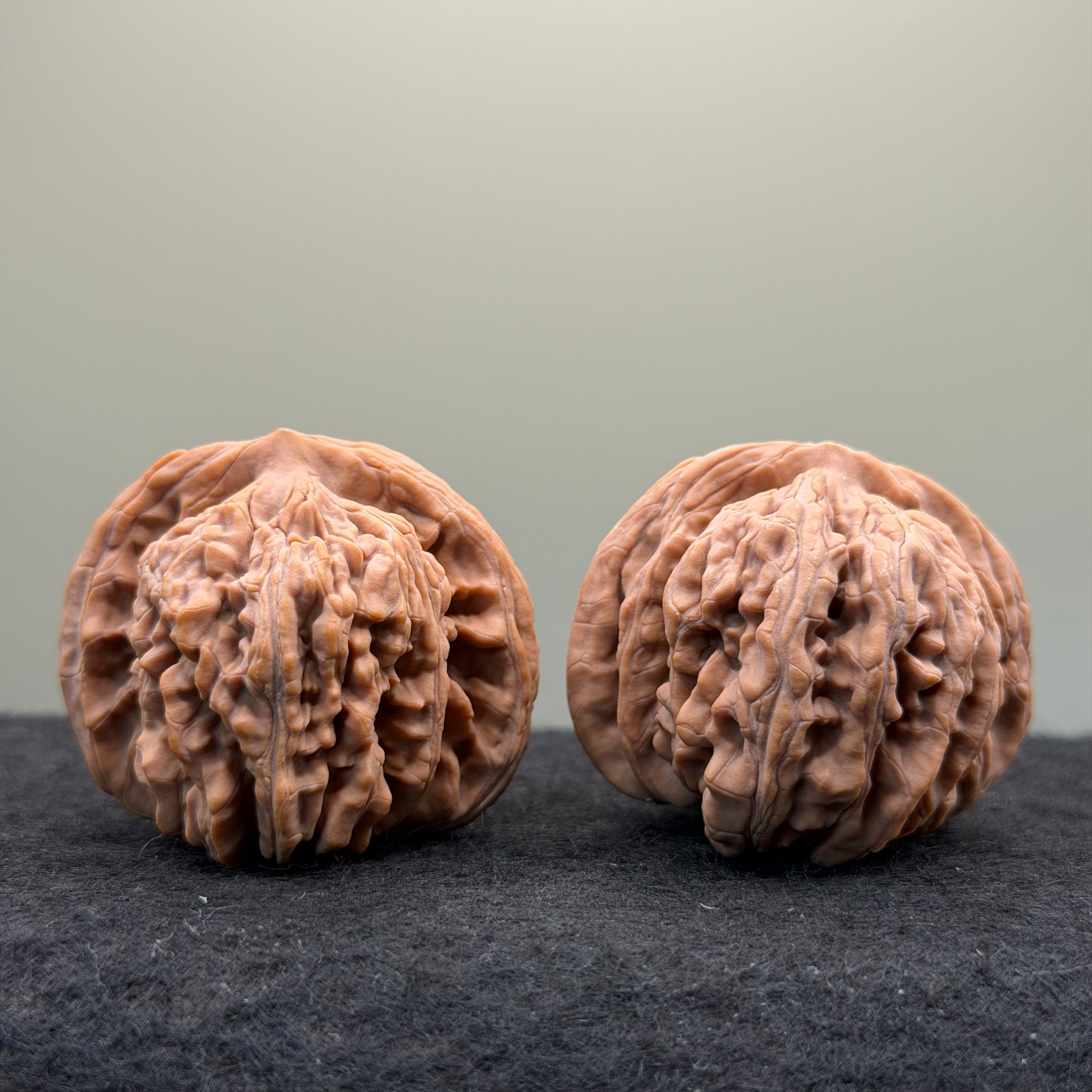 Four Towers Wenwan Walnut · 43mm · Natural · Entry Ritual