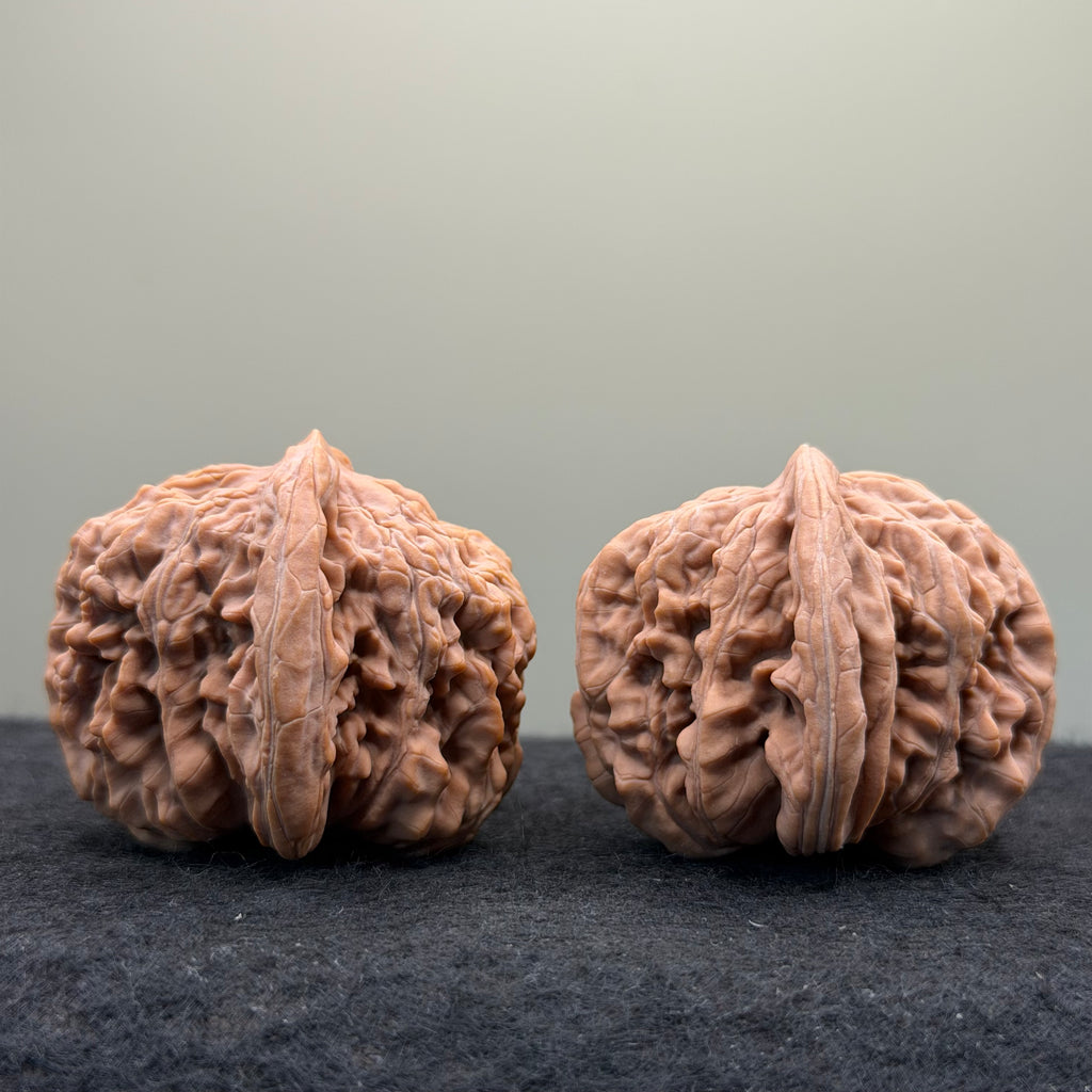Four Towers Wenwan Walnut · 43mm · Natural · Entry Ritual