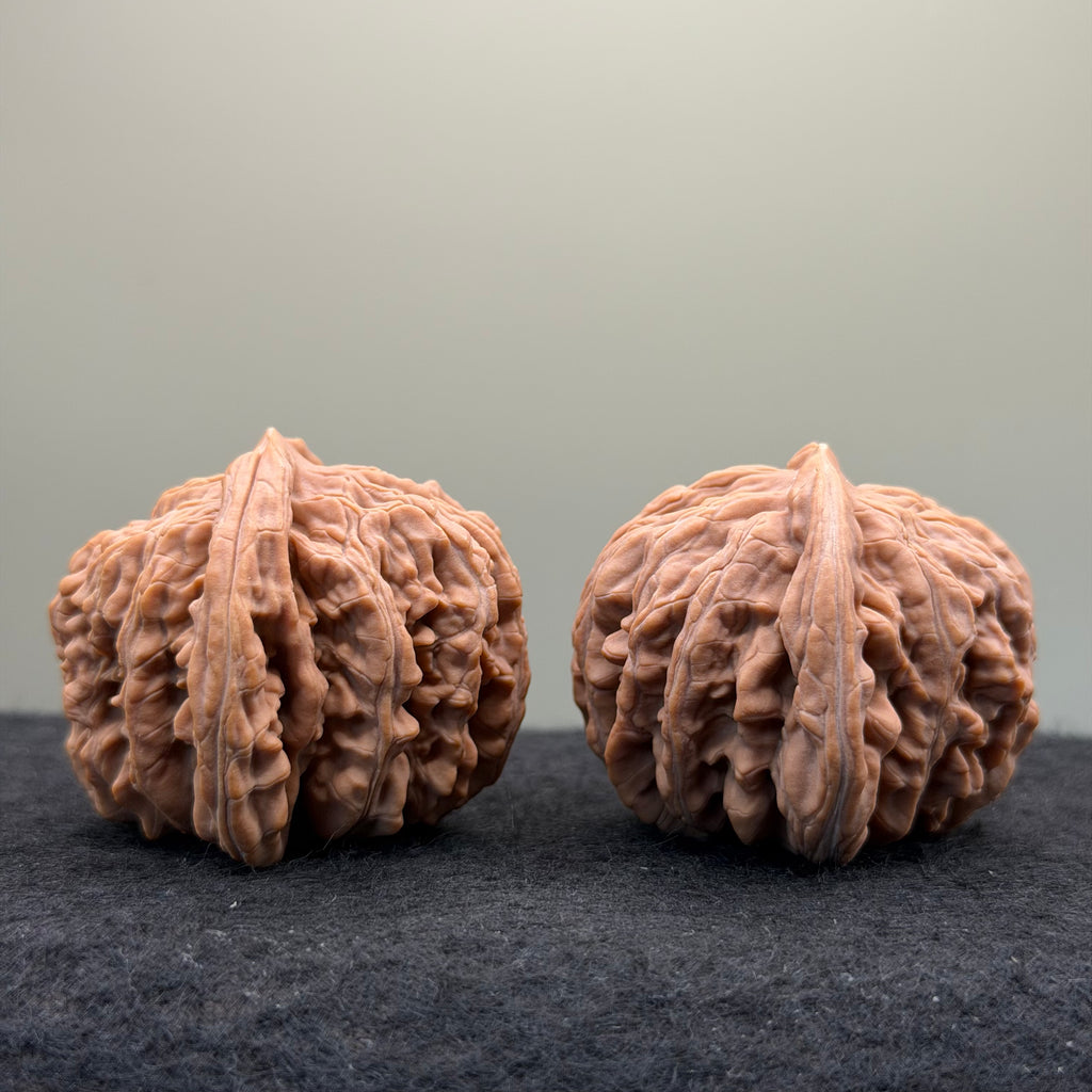 Four Towers Wenwan Walnut · 43mm · Natural · Entry Ritual