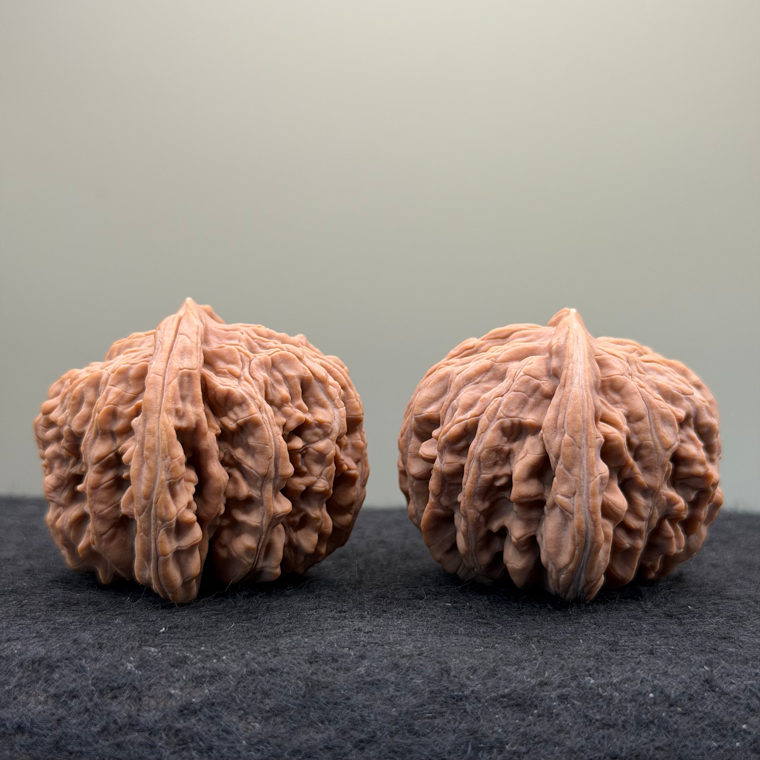 Four Towers Wenwan Walnut · 43mm · Natural · Entry Ritual