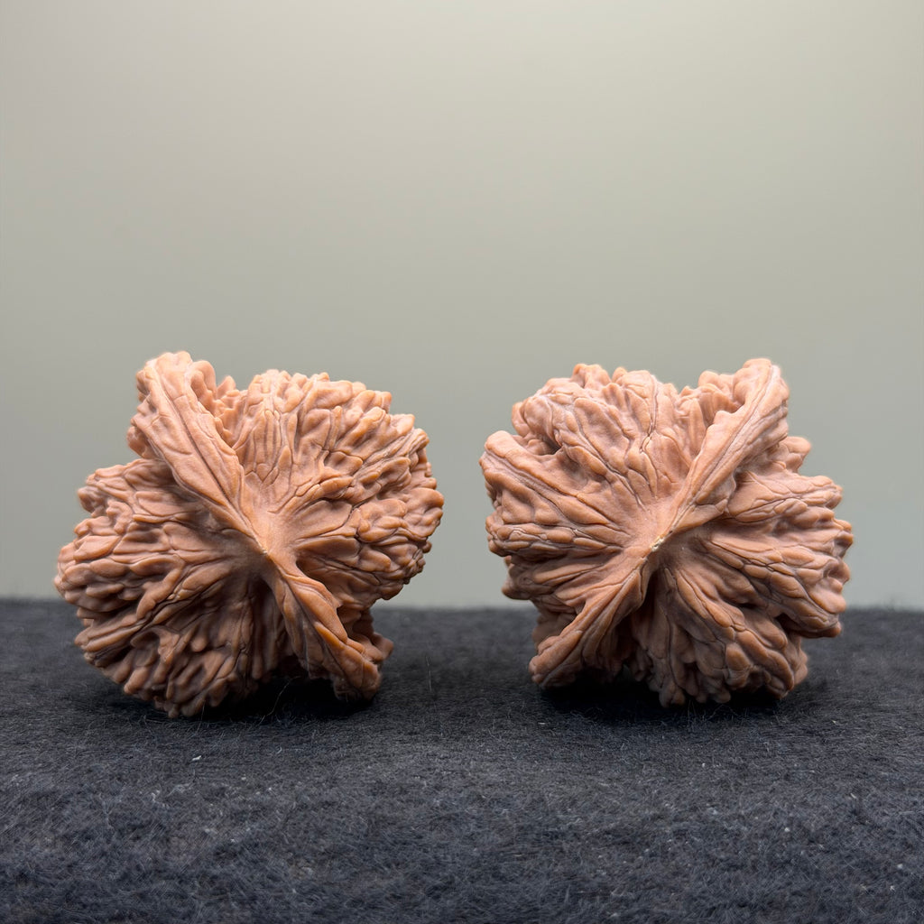 Four Towers Wenwan Walnut · 43mm · Natural · Entry Ritual
