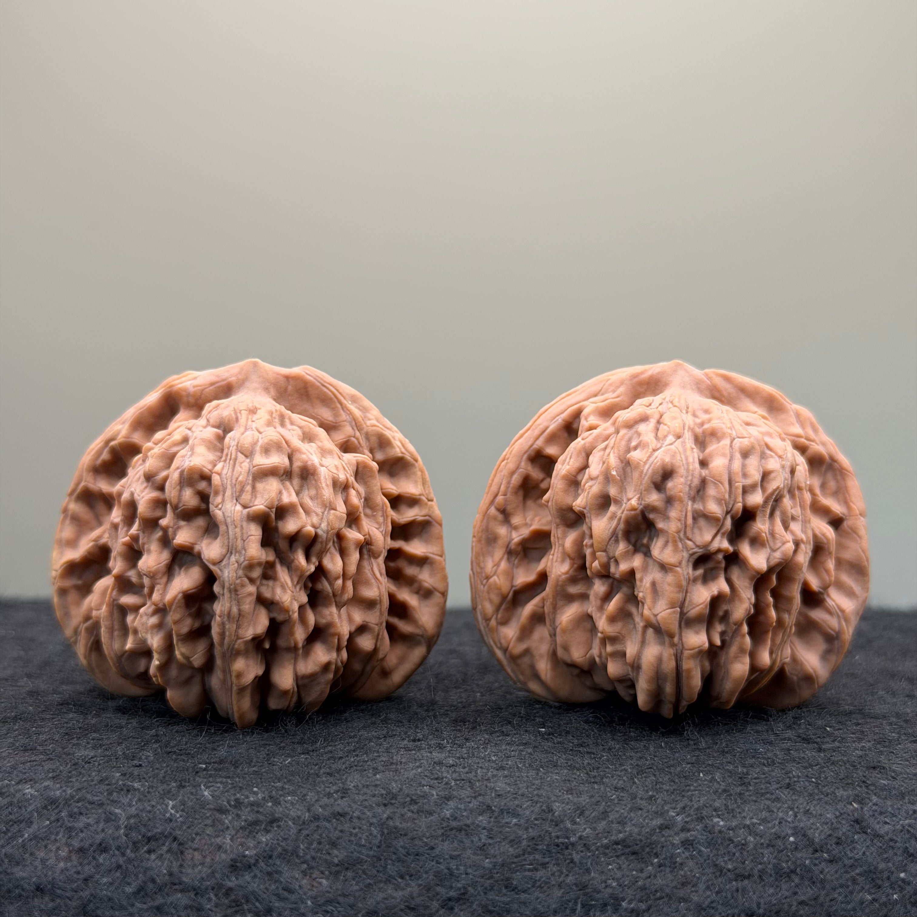 Four Towers Wenwan Walnut · 43mm · Natural · Entry Ritual