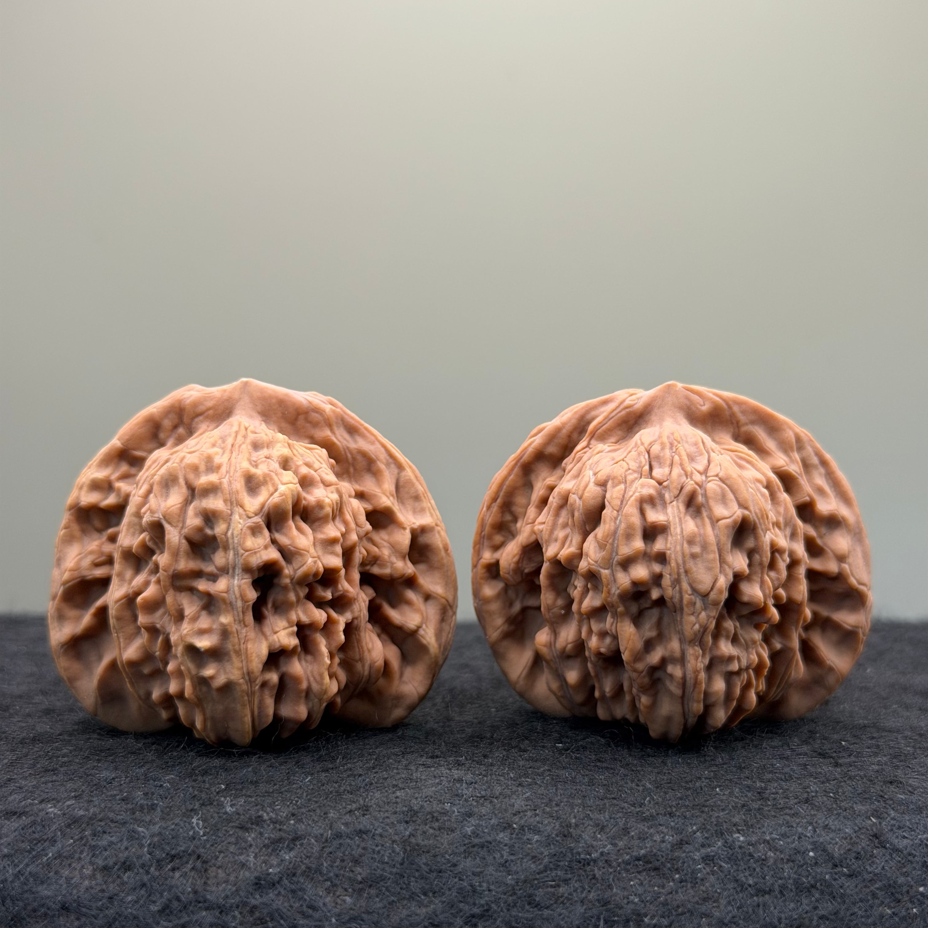 Four Towers Wenwan Walnut · 43mm · Natural · Entry Ritual