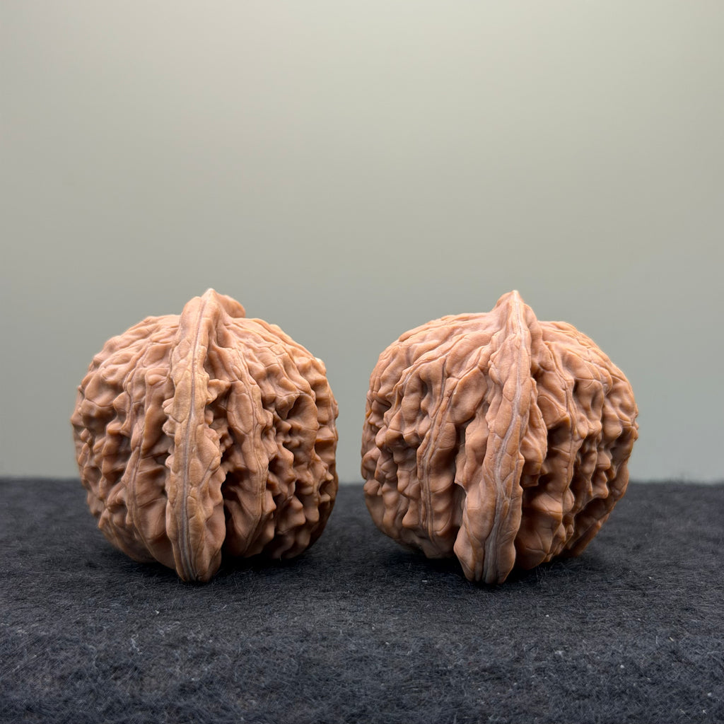 Four Towers Wenwan Walnut · 43mm · Natural · Entry Ritual