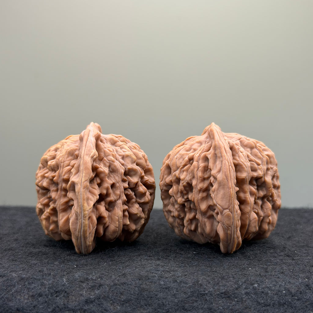 Four Towers Wenwan Walnut · 43mm · Natural · Entry Ritual