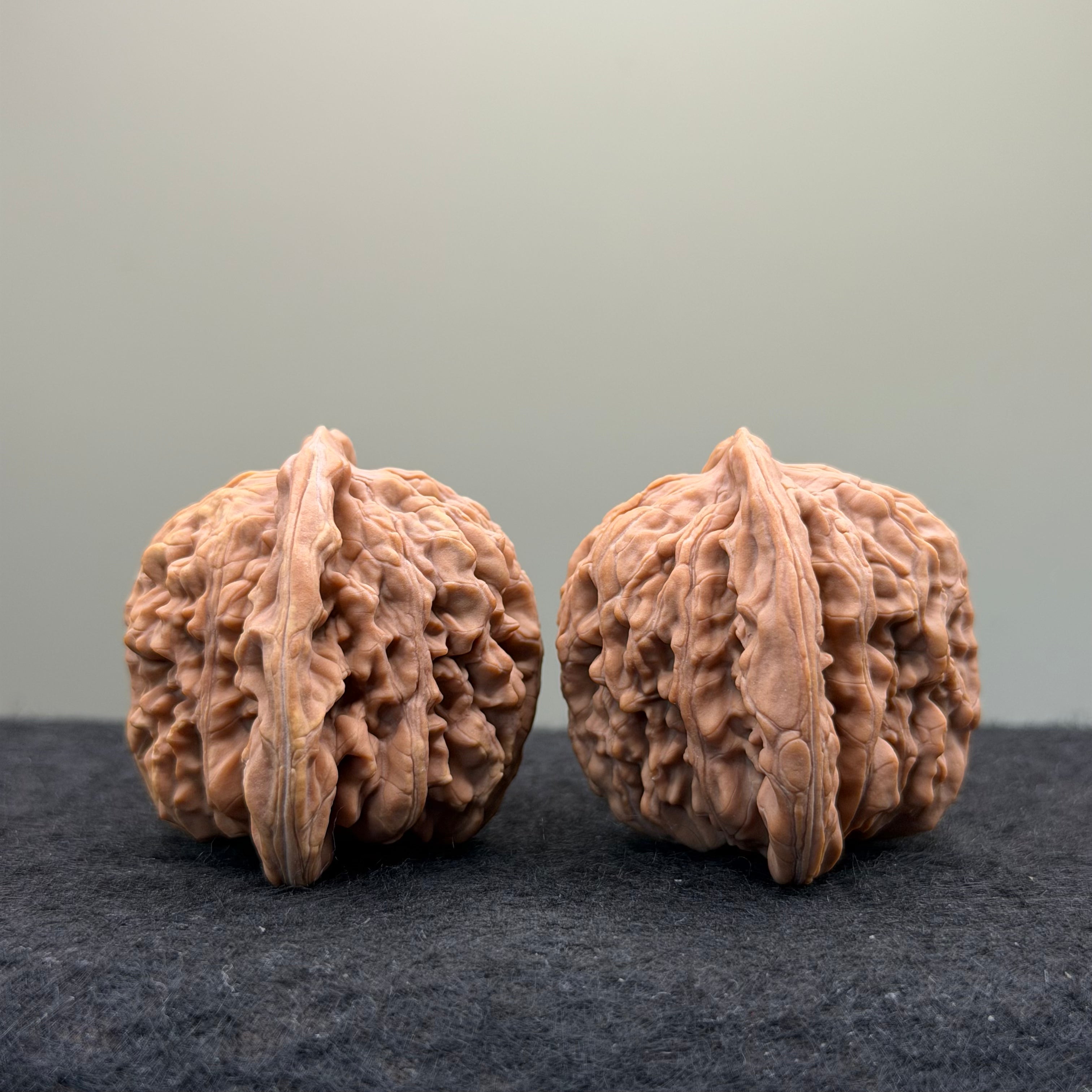 Four Towers Wenwan Walnut · 43mm · Natural · Entry Ritual