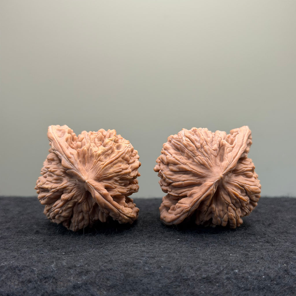 Four Towers Wenwan Walnut · 43mm · Natural · Entry Ritual