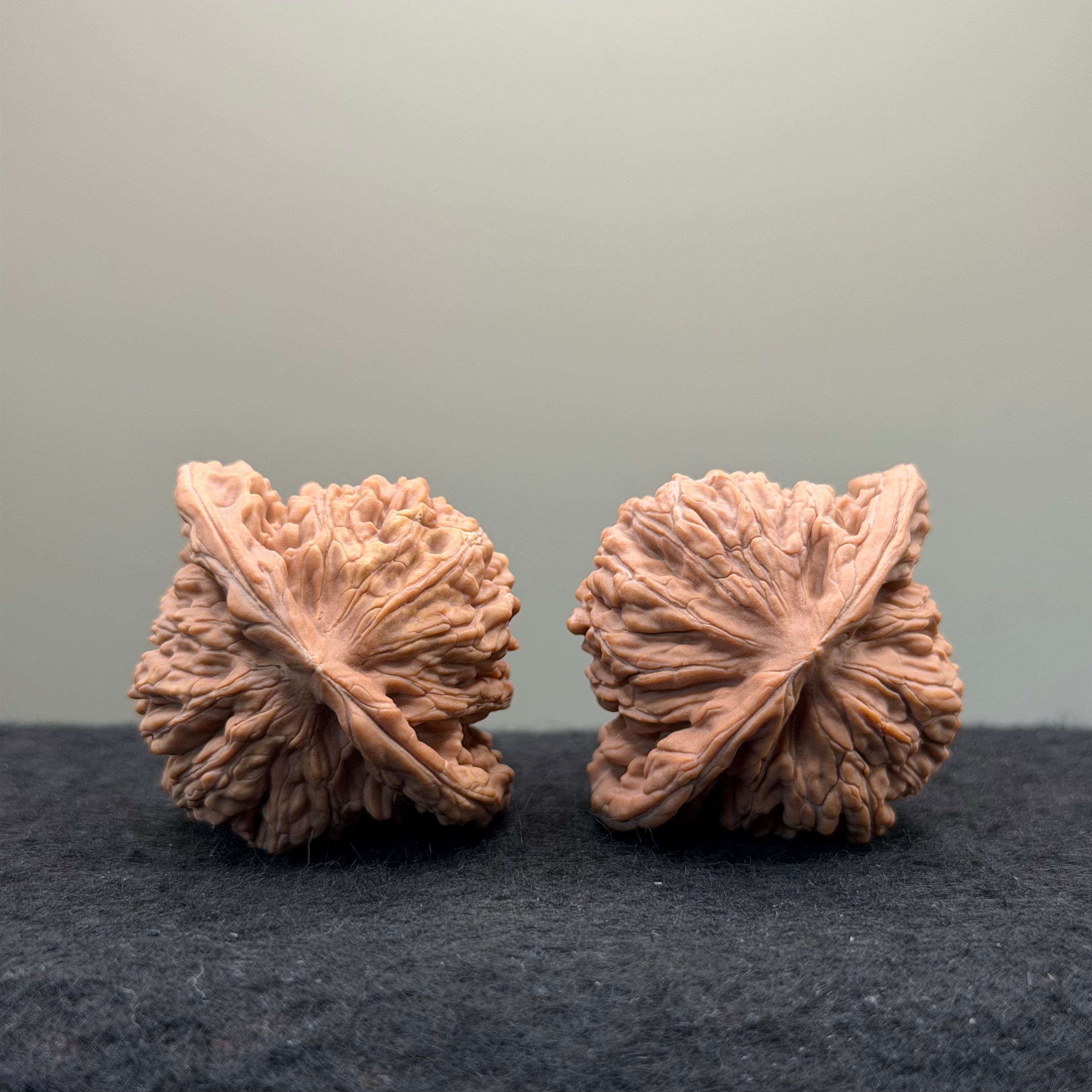 Four Towers Wenwan Walnut · 43mm · Natural · Entry Ritual