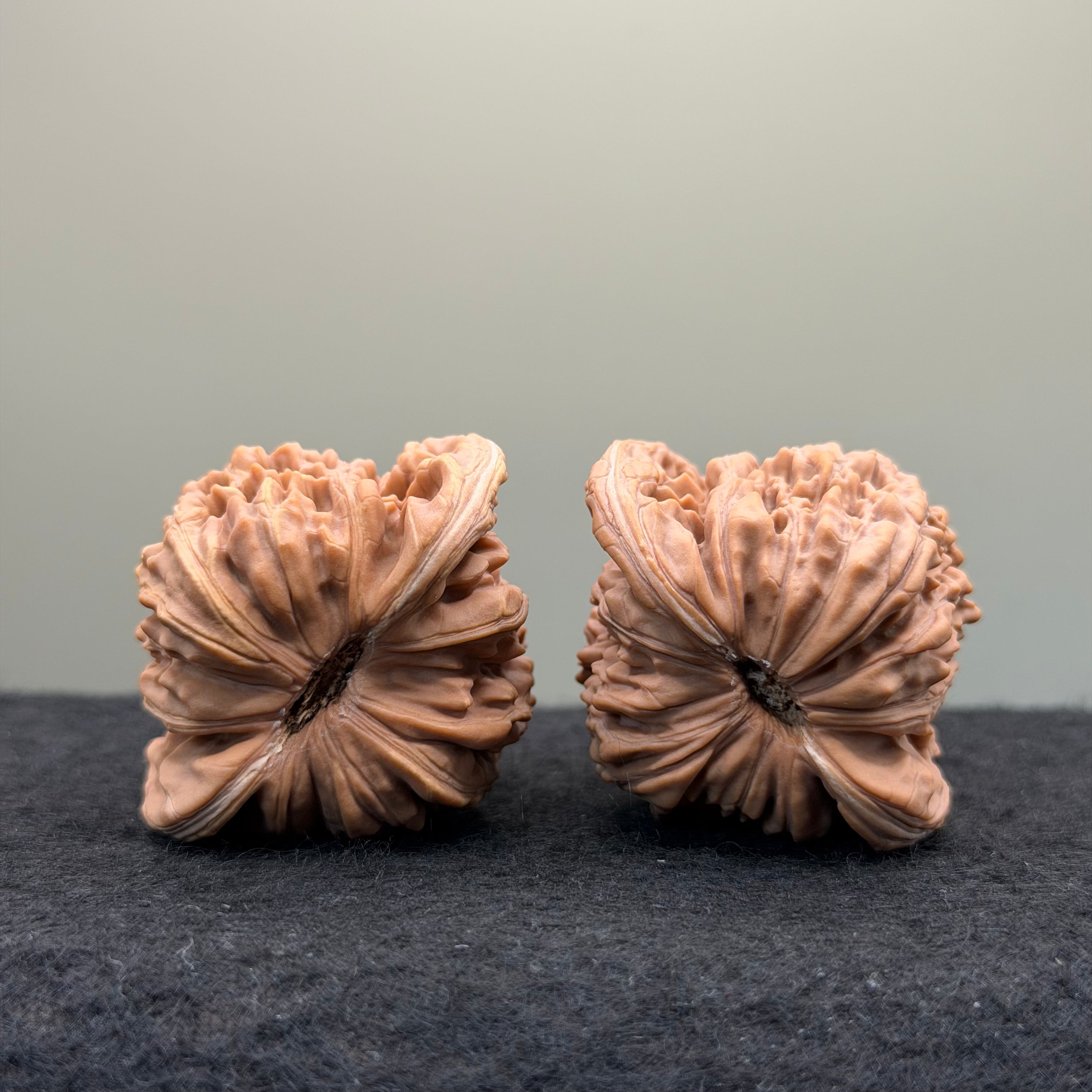 Four Towers Wenwan Walnut · 43mm · Natural · Entry Ritual