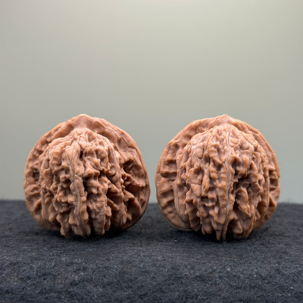 Four Towers Wenwan Walnut · 42mm · Natural · Entry Ritual