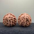 Four Towers Wenwan Walnut · 42mm · Natural · Entry Ritual