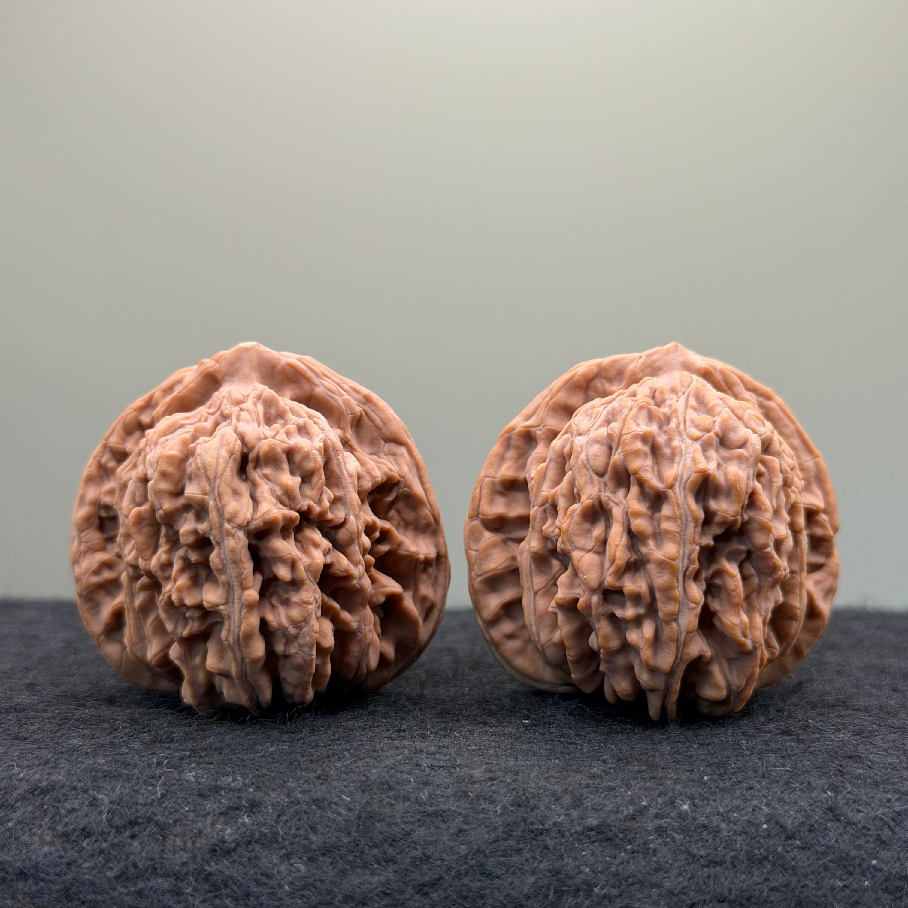 Four Towers Wenwan Walnut · 42mm · Natural · Entry Ritual