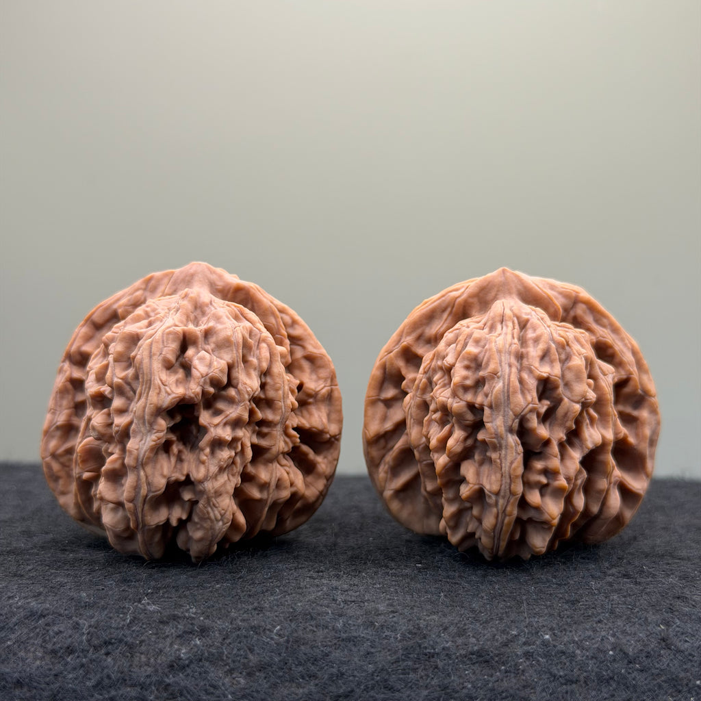 Four Towers Wenwan Walnut · 42mm · Natural · Entry Ritual