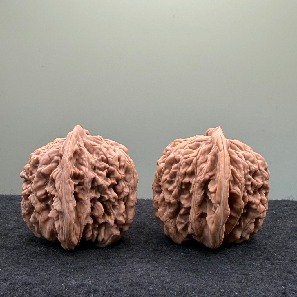 Four Towers Wenwan Walnut · 42mm · Natural · Entry Ritual