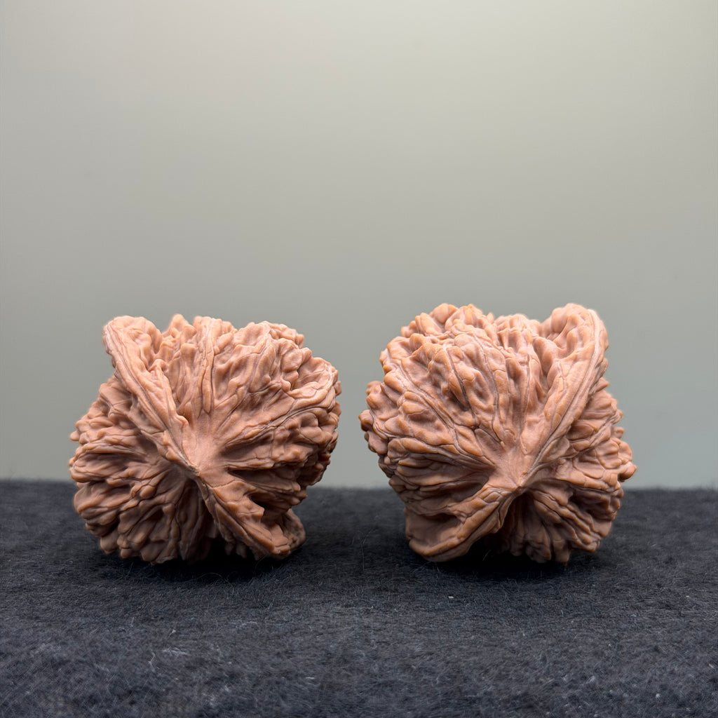 Four Towers Wenwan Walnut · 42mm · Natural · Entry Ritual