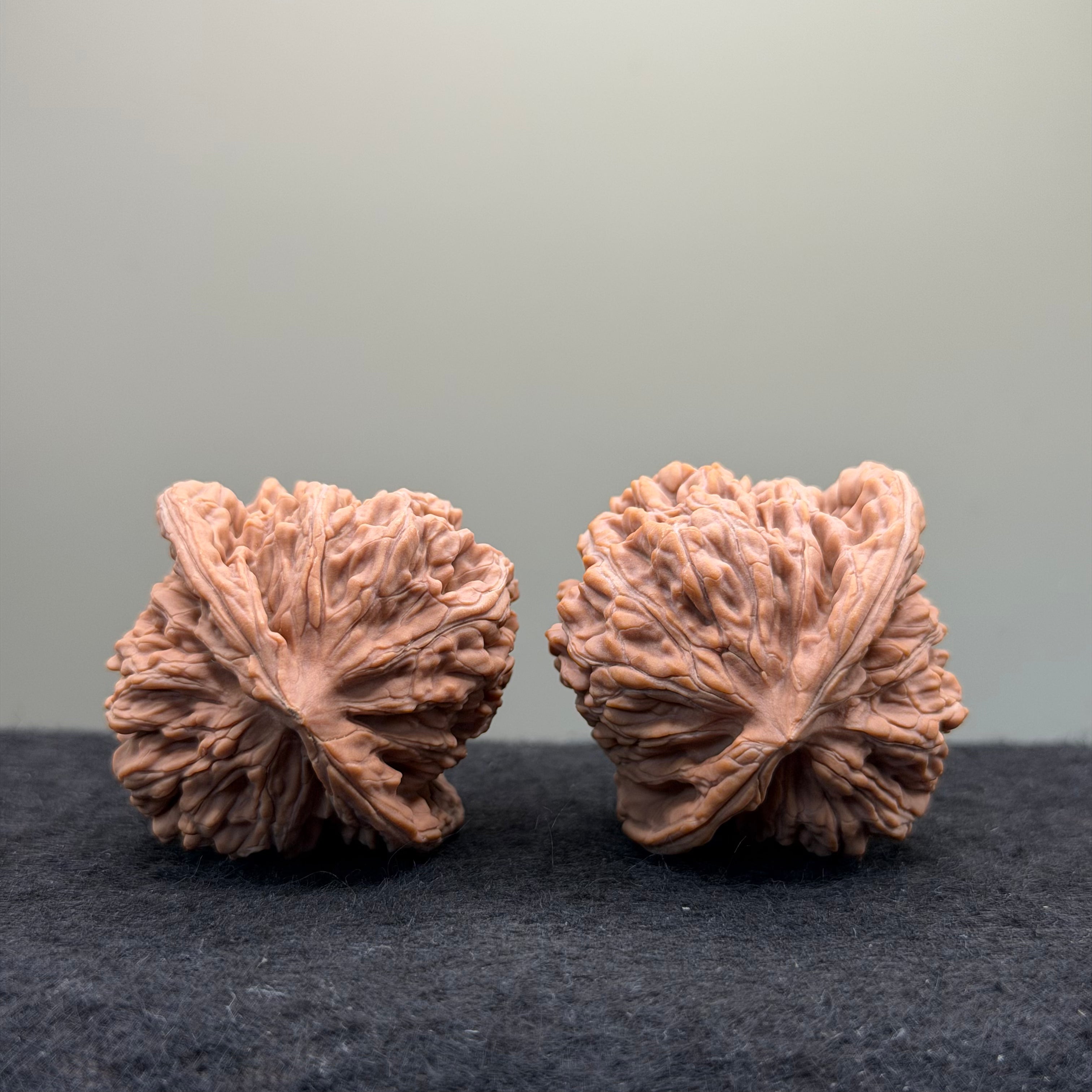 Four Towers Wenwan Walnut · 42mm · Natural · Entry Ritual