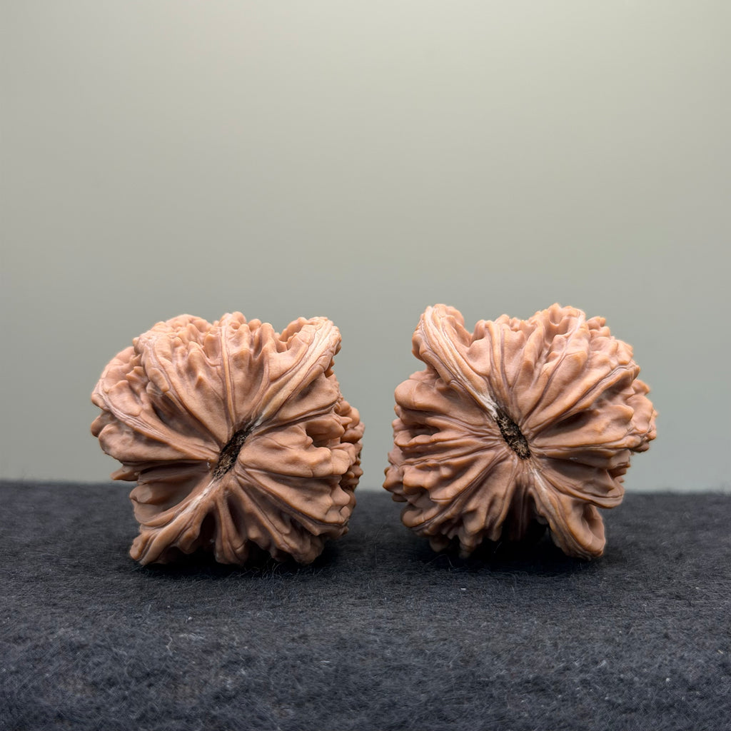 Four Towers Wenwan Walnut · 42mm · Natural · Entry Ritual