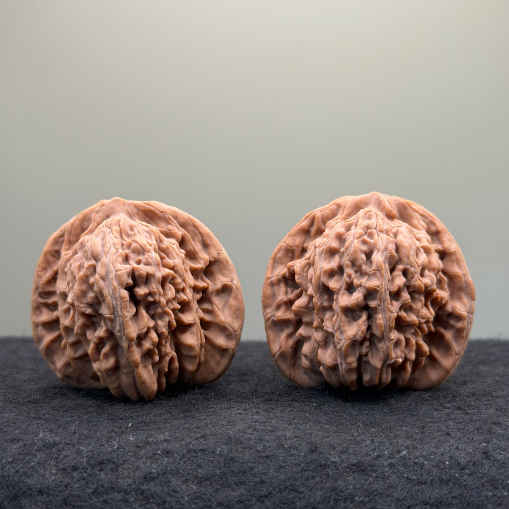 Four Towers Wenwan Walnut · 42mm · Natural · Entry Ritual