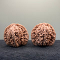 Four Towers Wenwan Walnut · 42mm · Natural · Entry Ritual