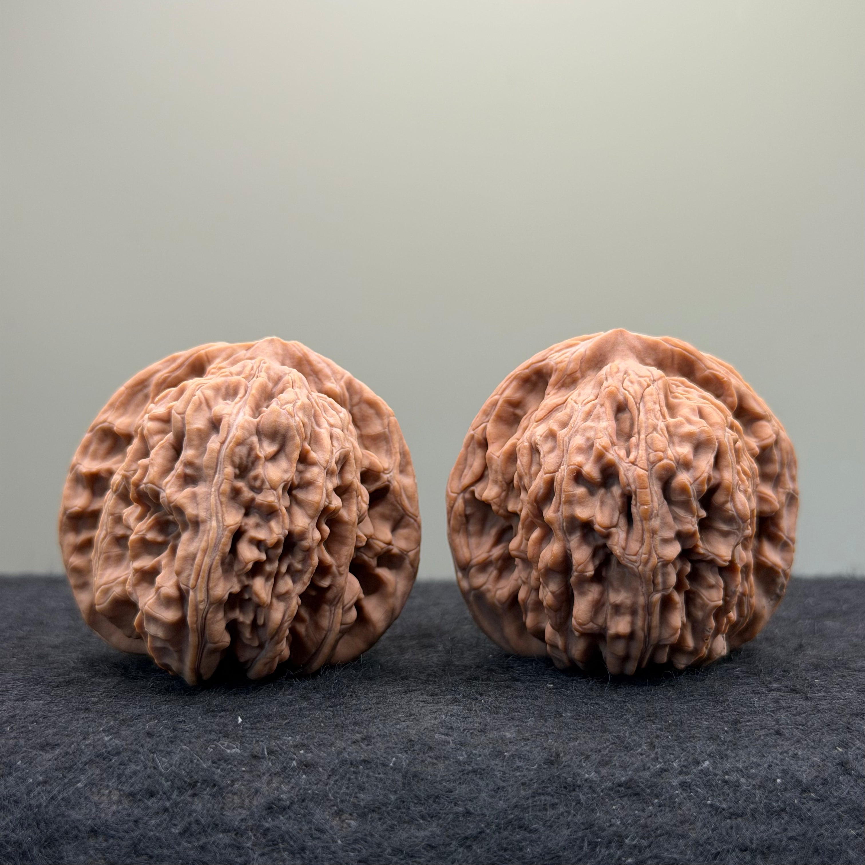 Four Towers Wenwan Walnut · 42mm · Natural · Entry Ritual