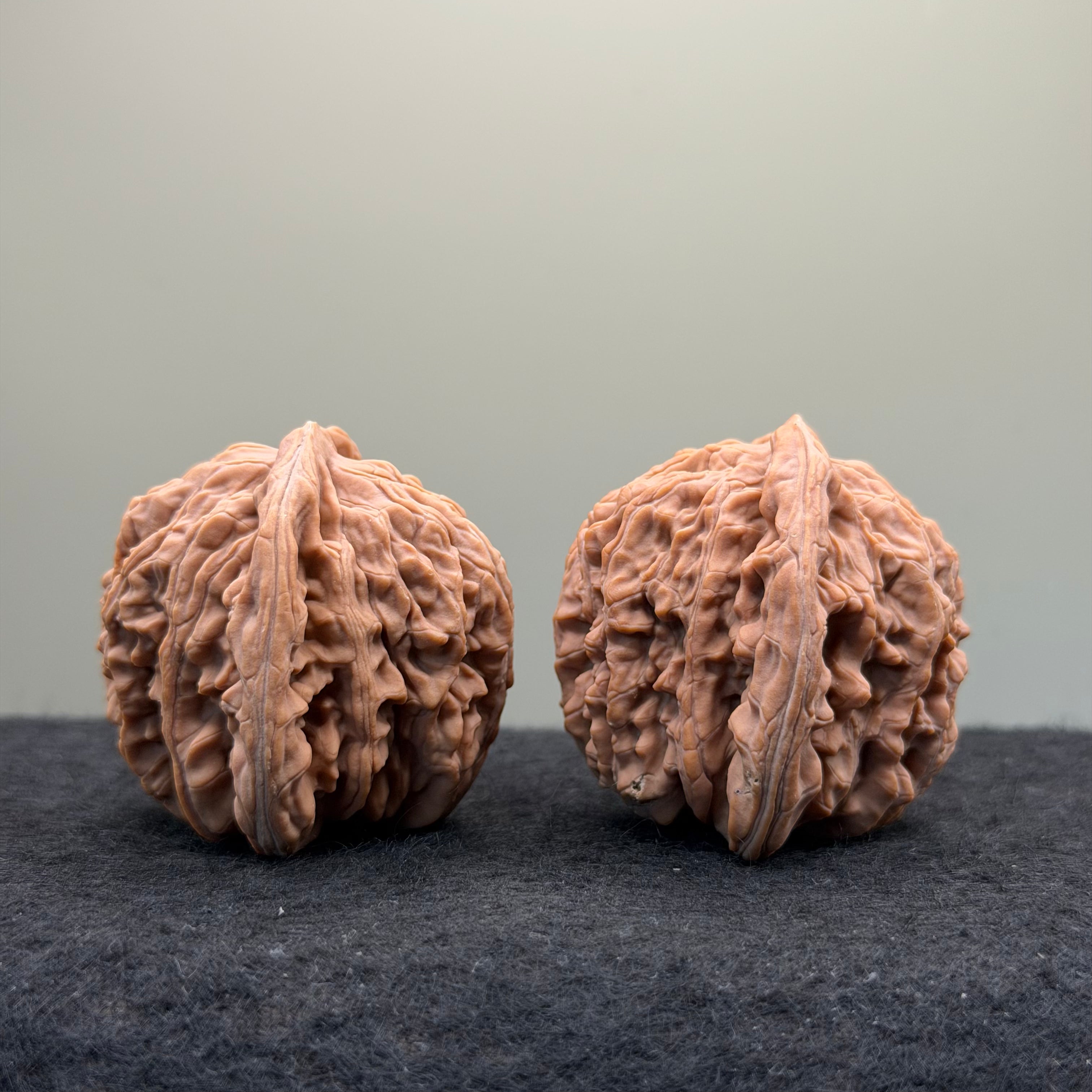 Four Towers Wenwan Walnut · 42mm · Natural · Entry Ritual
