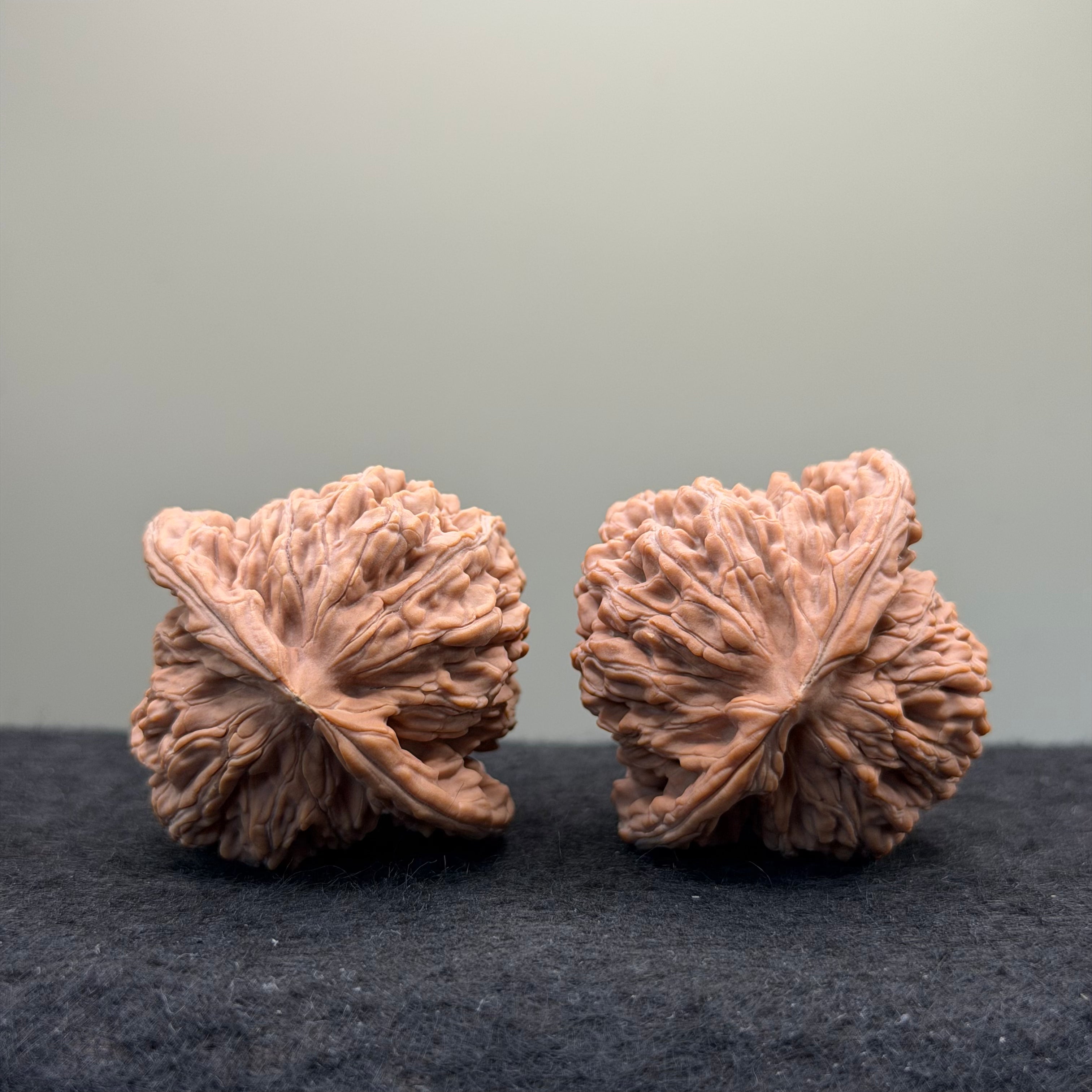 Four Towers Wenwan Walnut · 42mm · Natural · Entry Ritual