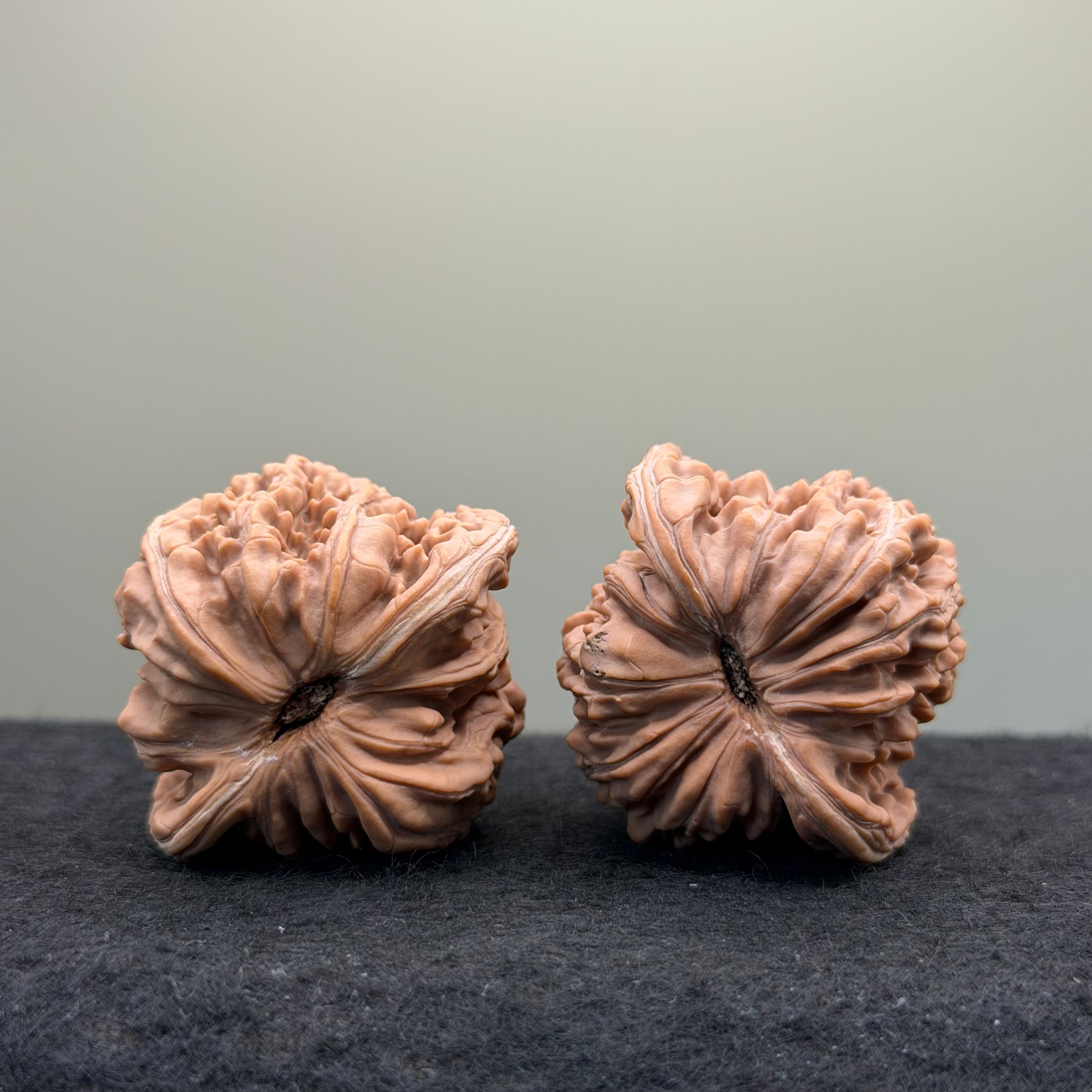 Four Towers Wenwan Walnut · 42mm · Natural · Entry Ritual