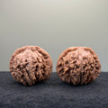 Four Towers Wenwan Walnut · 44mm · Natural · Entry Ritual