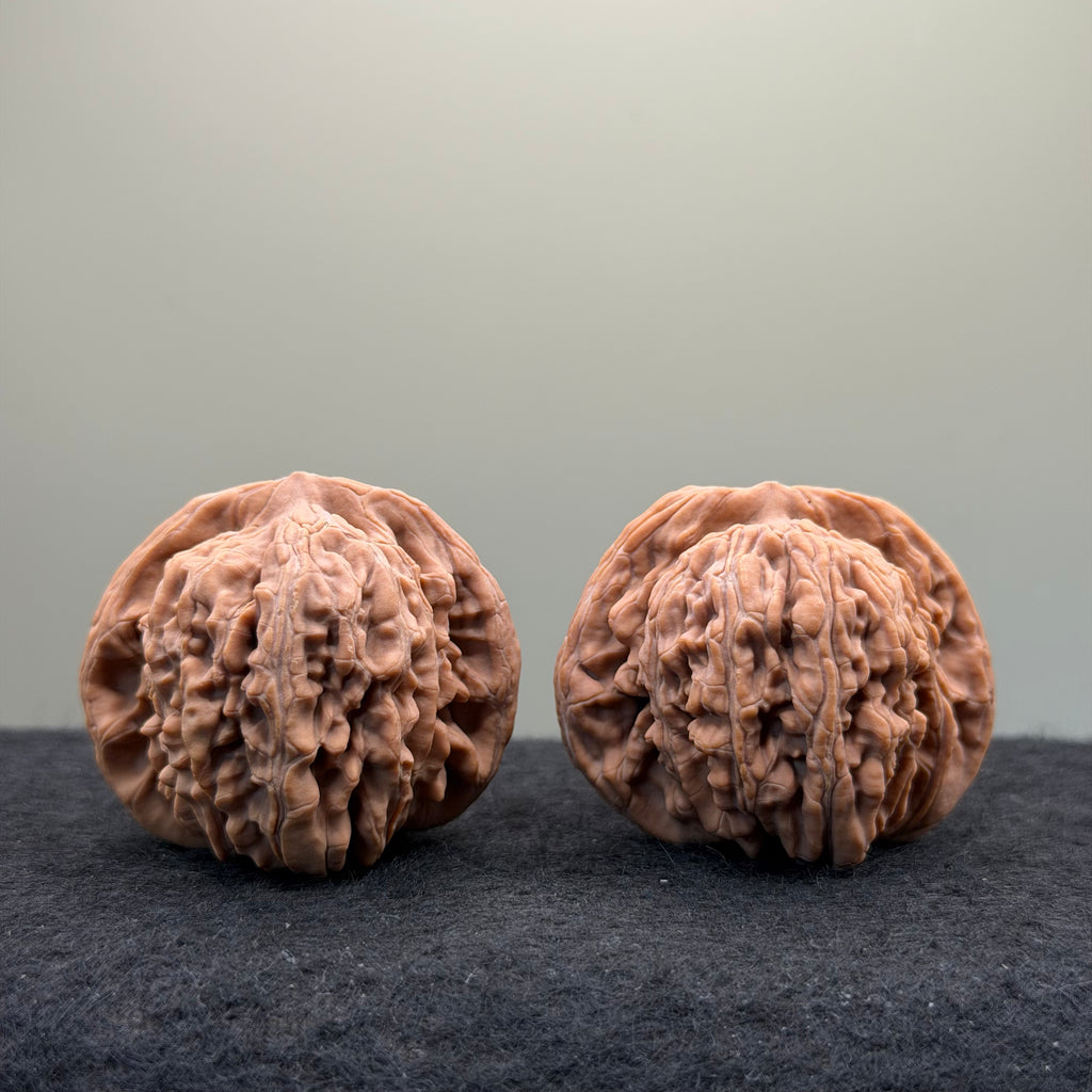 Four Towers Wenwan Walnut · 44mm · Natural · Entry Ritual