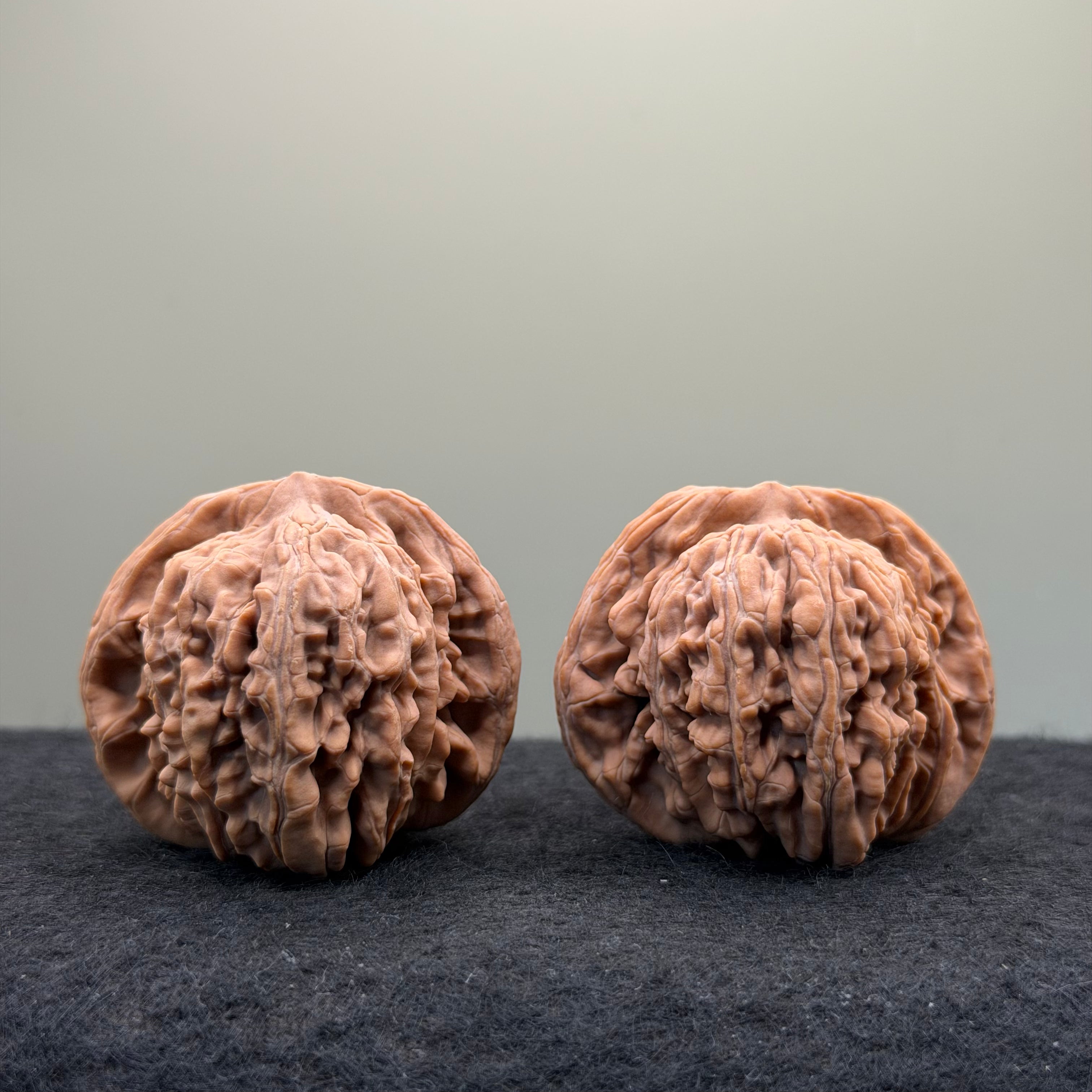 Four Towers Wenwan Walnut · 44mm · Natural · Entry Ritual