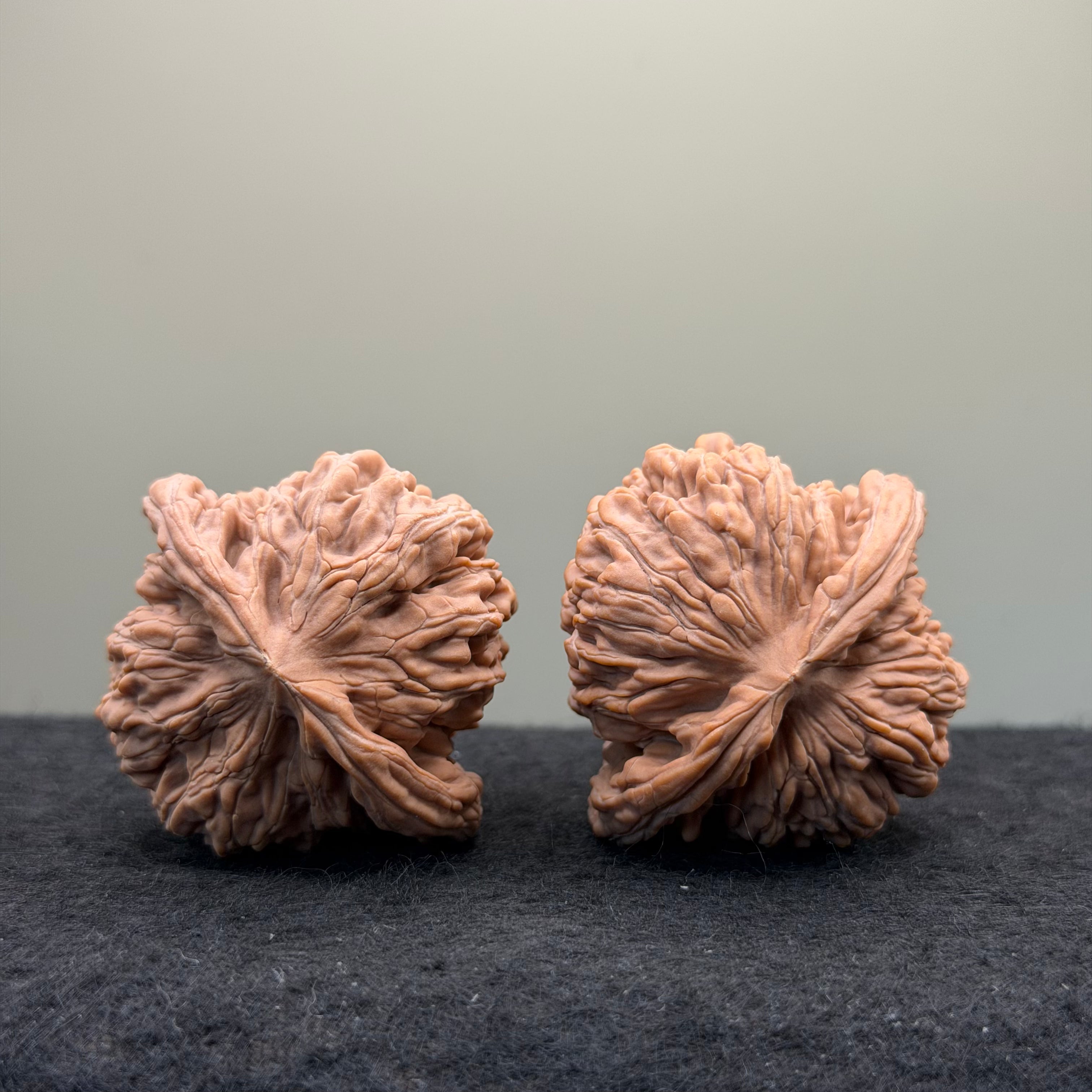 Four Towers Wenwan Walnut · 44mm · Natural · Entry Ritual