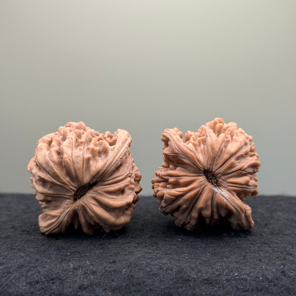 Four Towers Wenwan Walnut · 44mm · Natural · Entry Ritual