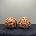 White Lion Wenwan Walnut · 40mm · Natural · Entry Ritual