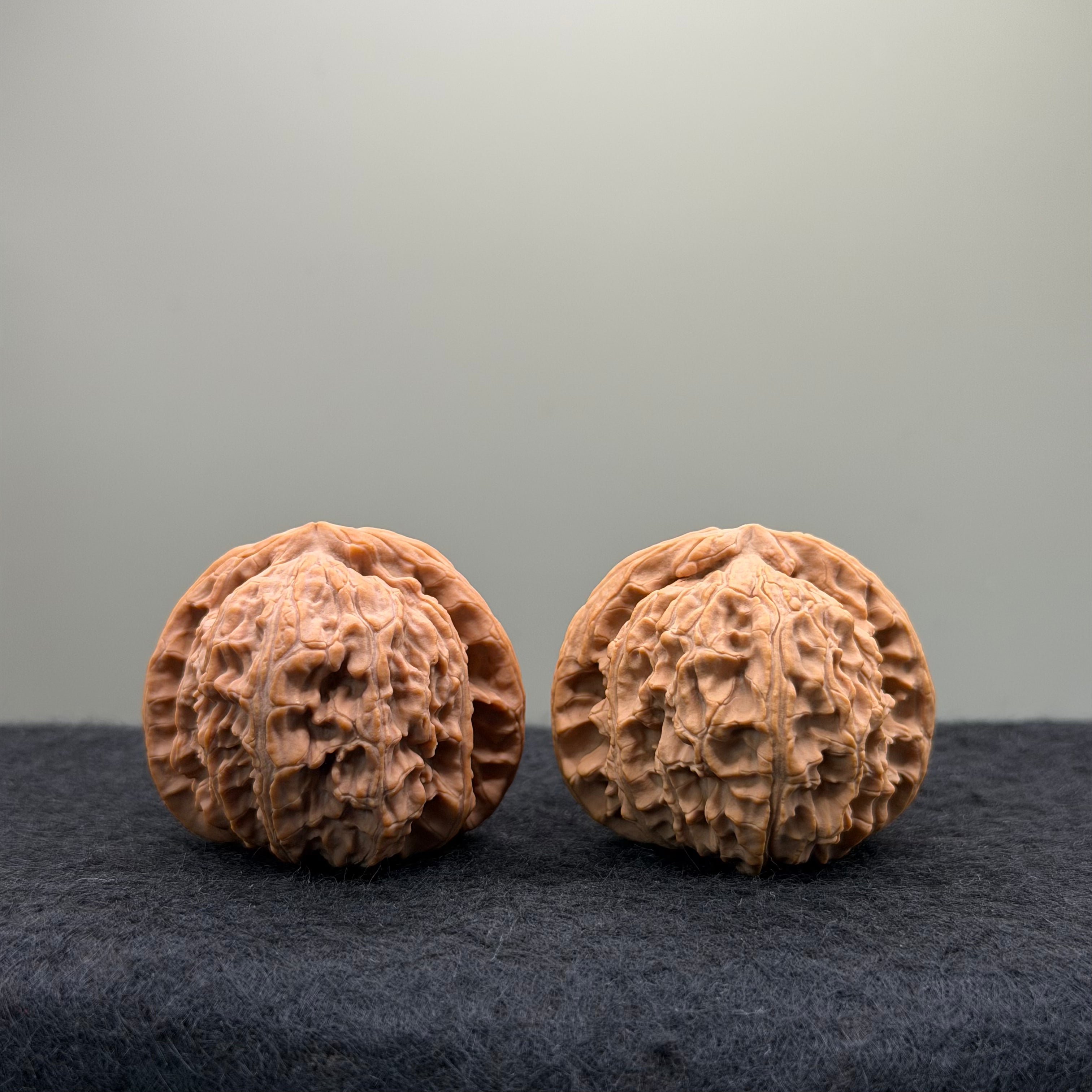 White Lion Wenwan Walnut · 40mm · Natural · Entry Ritual