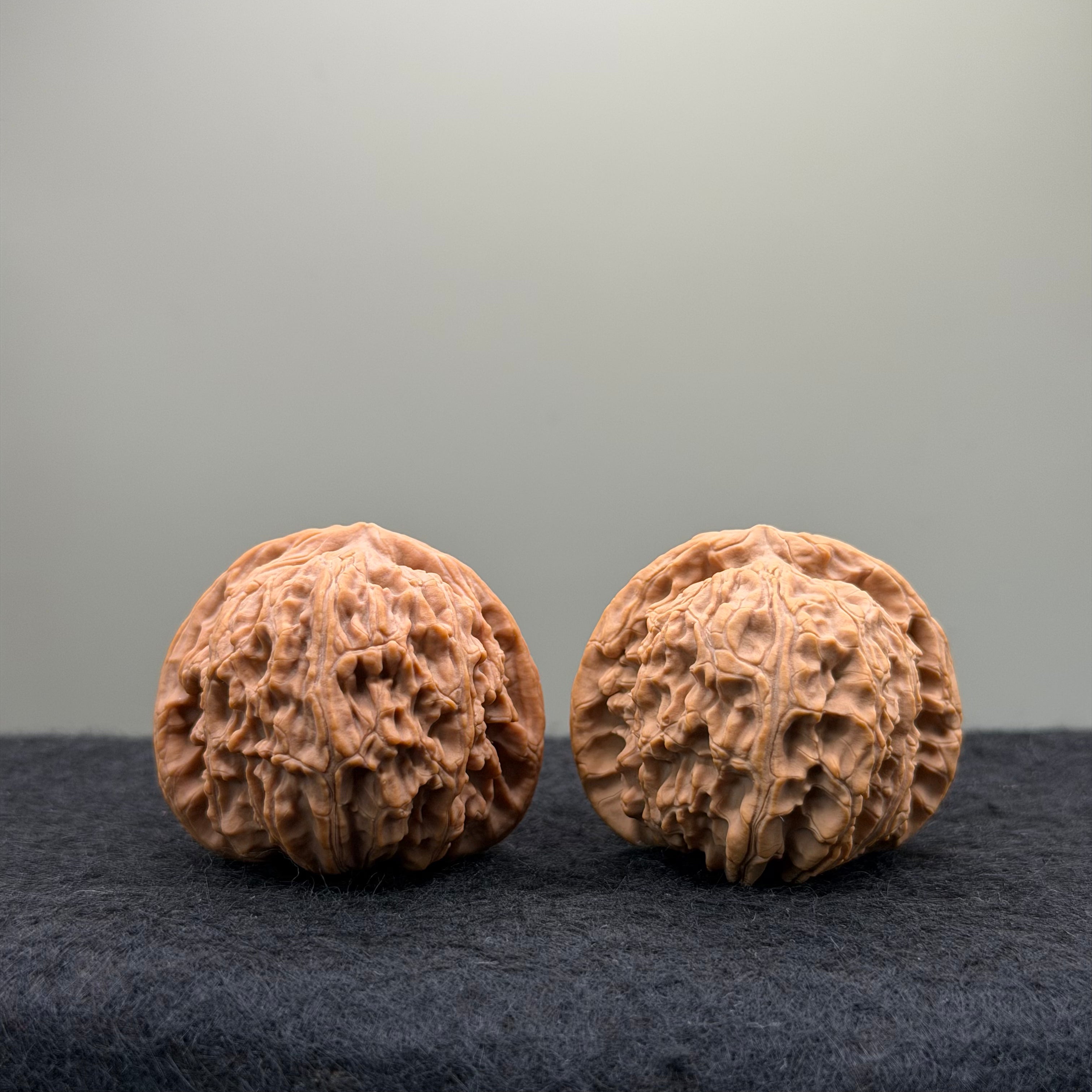 White Lion Wenwan Walnut · 40mm · Natural · Entry Ritual