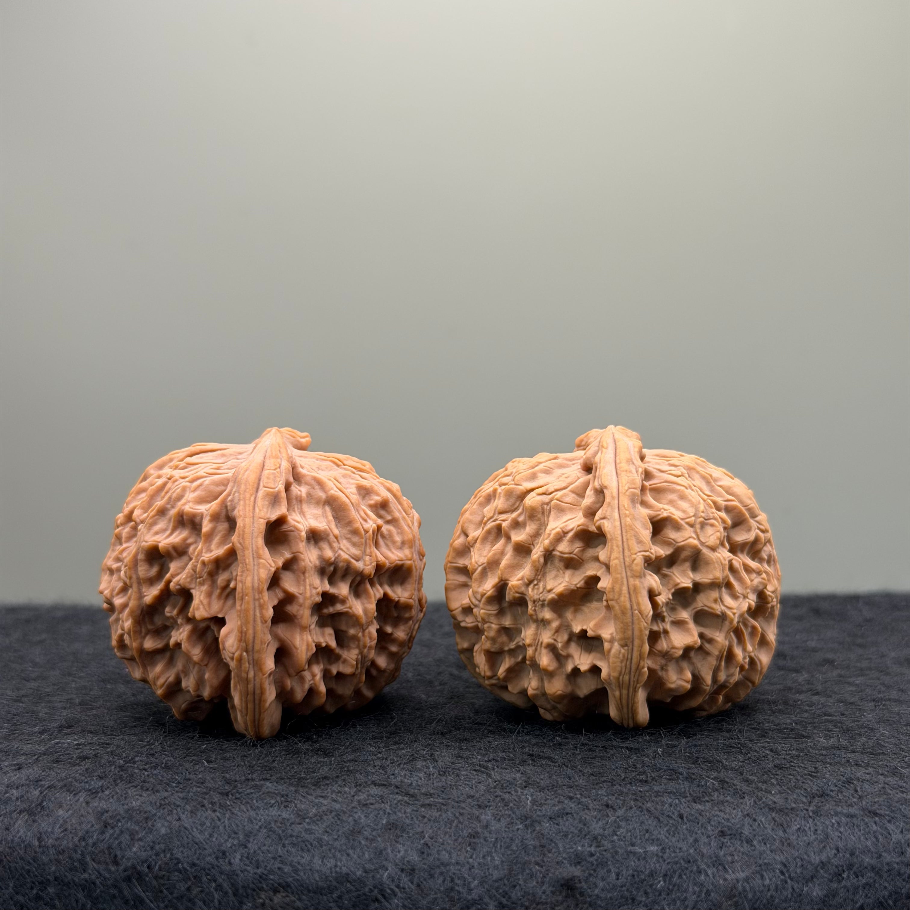 White Lion Wenwan Walnut · 40mm · Natural · Entry Ritual