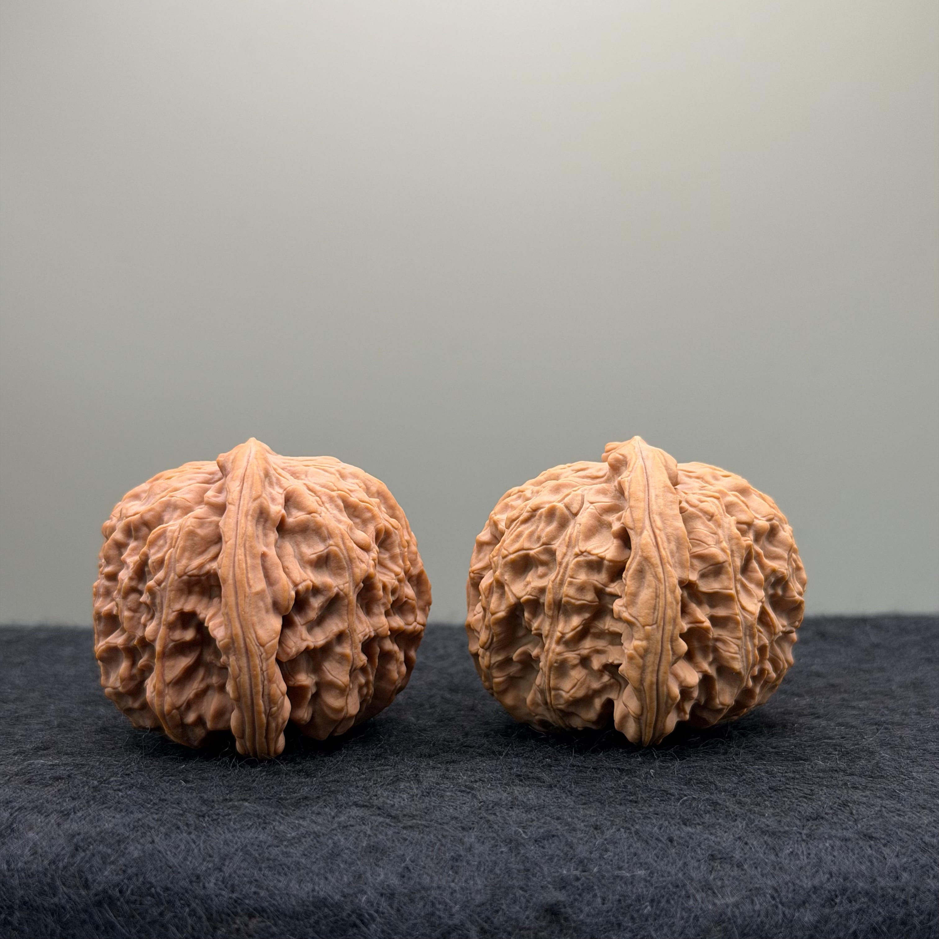 White Lion Wenwan Walnut · 40mm · Natural · Entry Ritual