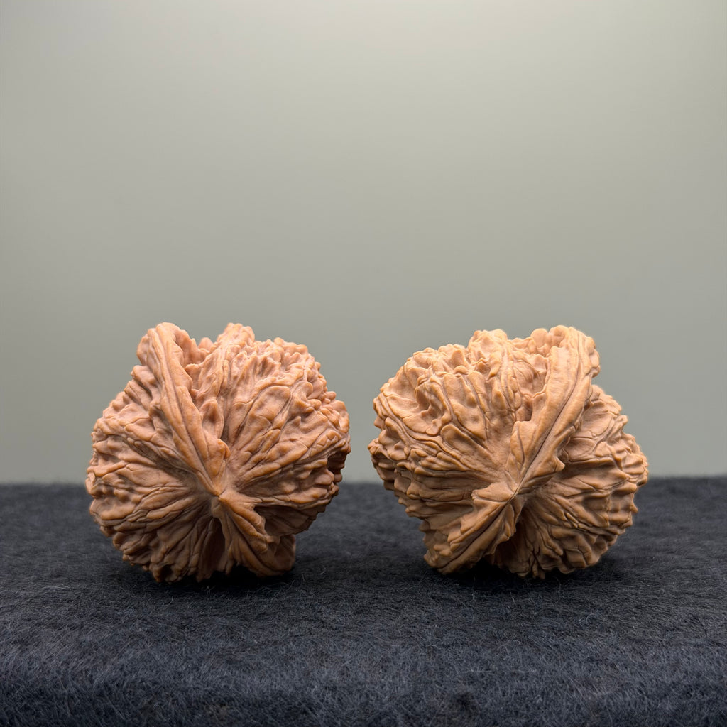 White Lion Wenwan Walnut · 40mm · Natural · Entry Ritual