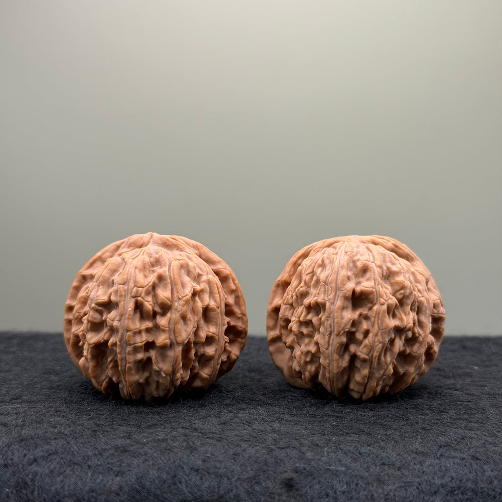 White Lion Wenwan Walnut · 38mm · Natural · Entry Ritual