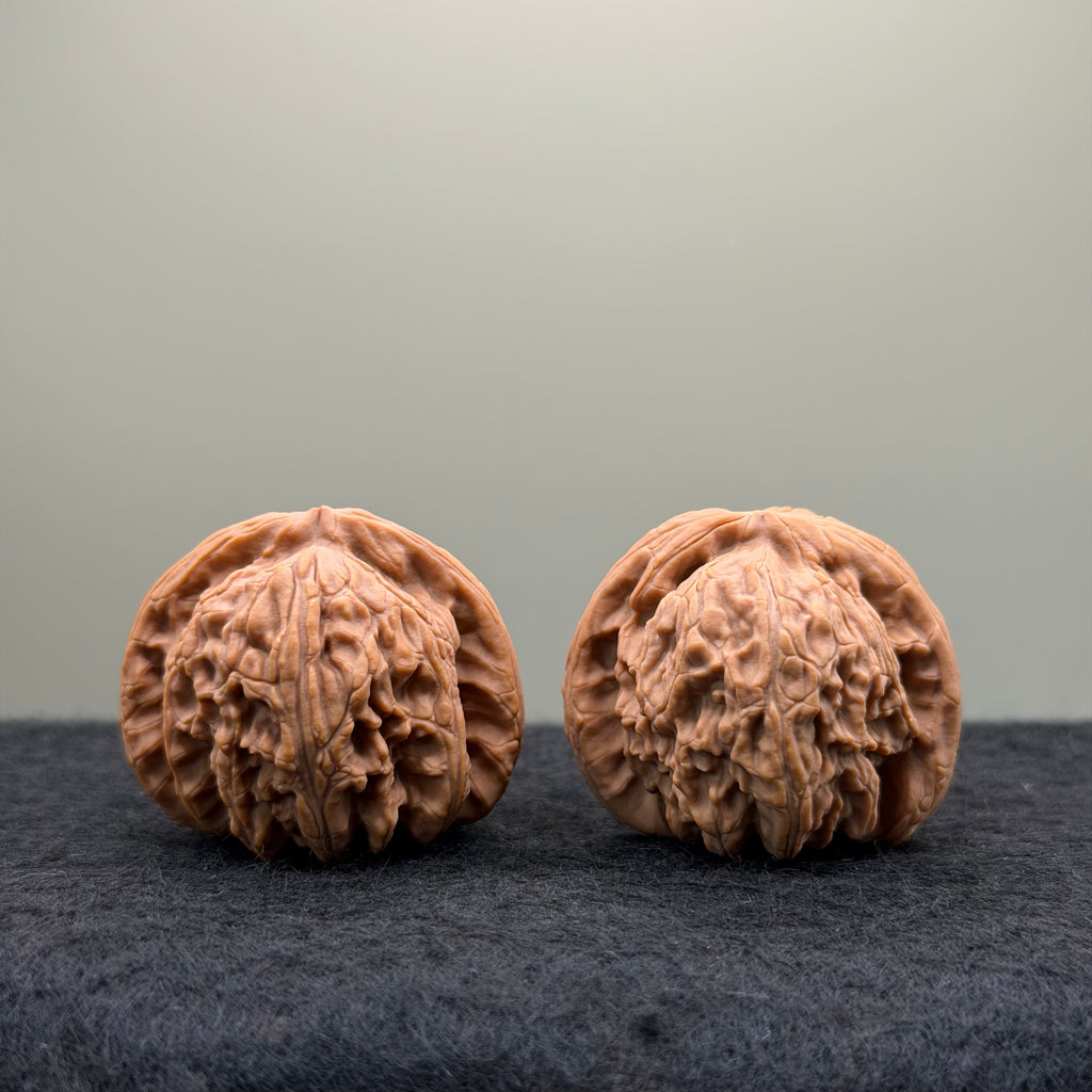 White Lion Wenwan Walnut · 38mm · Natural · Entry Ritual