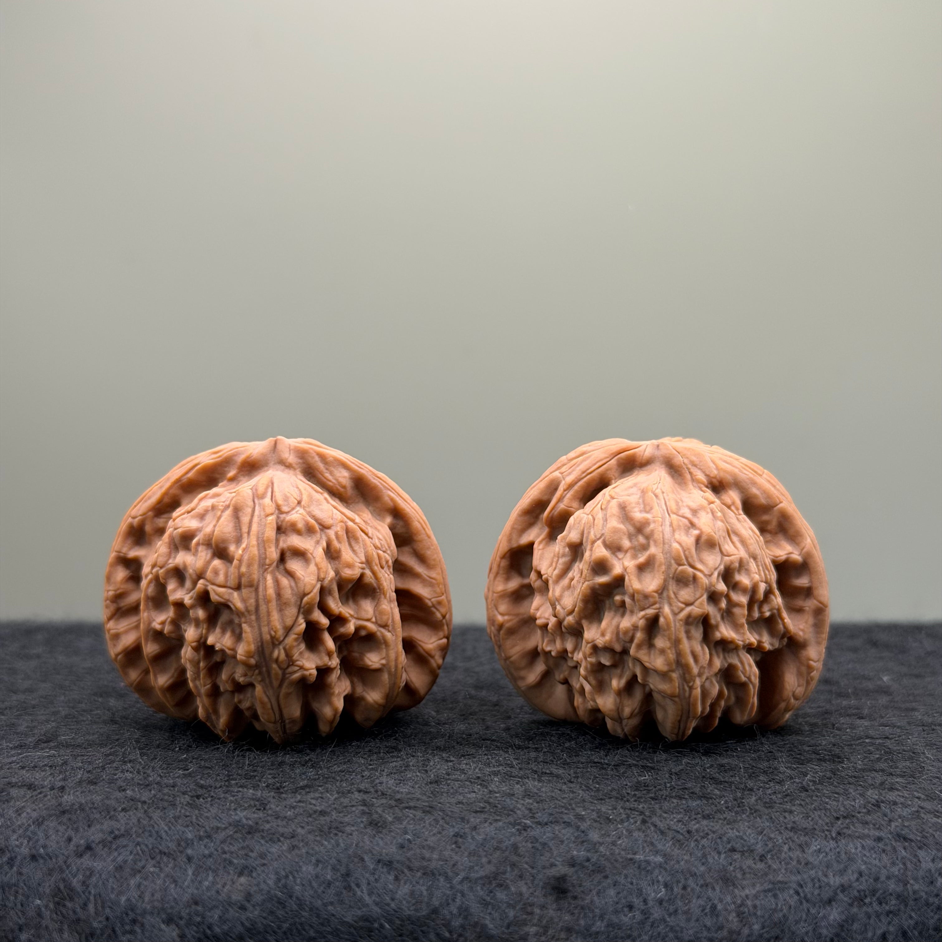White Lion Wenwan Walnut · 38mm · Natural · Entry Ritual